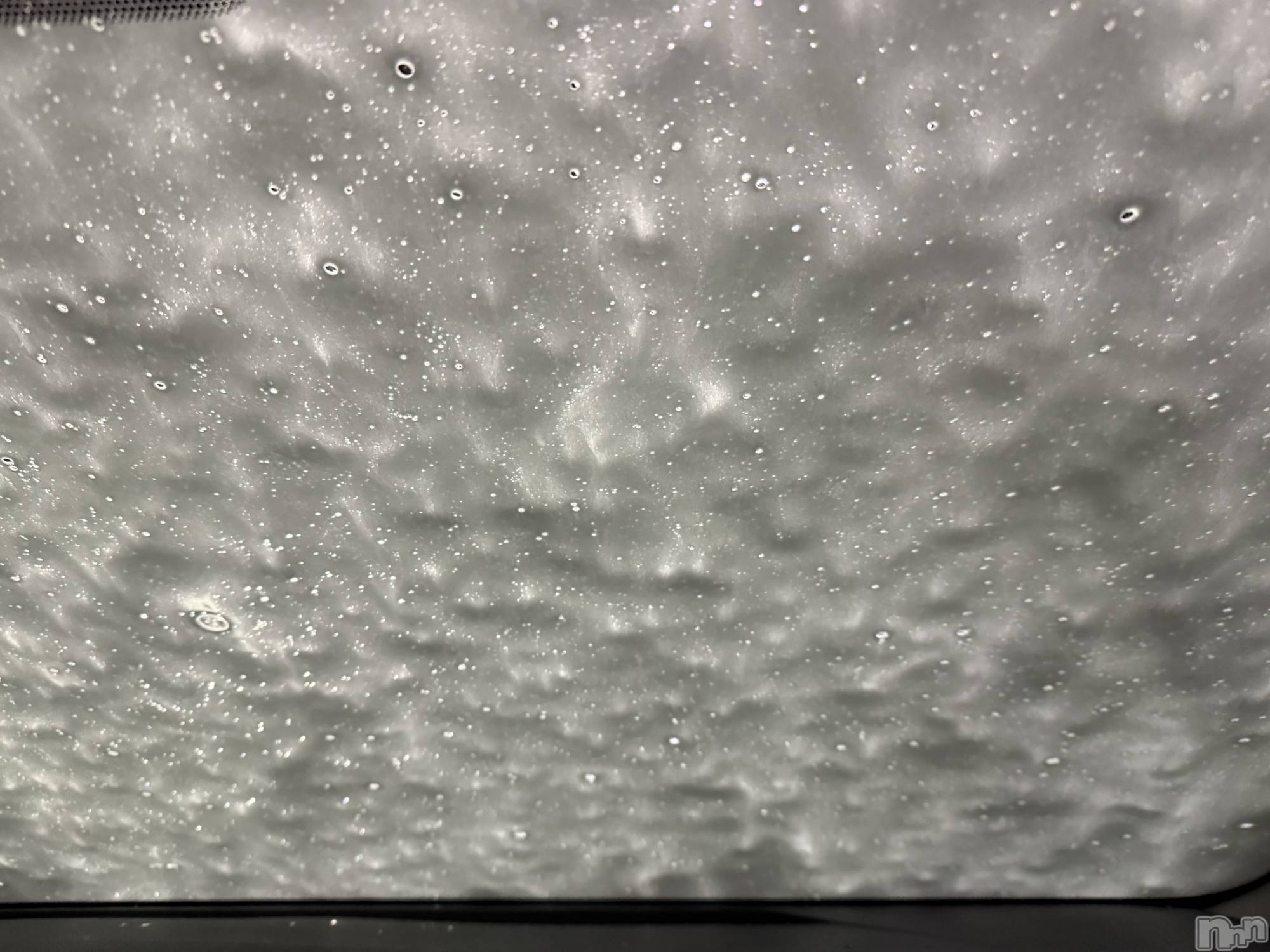 ĮХ顦֥ ץ ( ץ ) 2025ǯ123̥֥֡