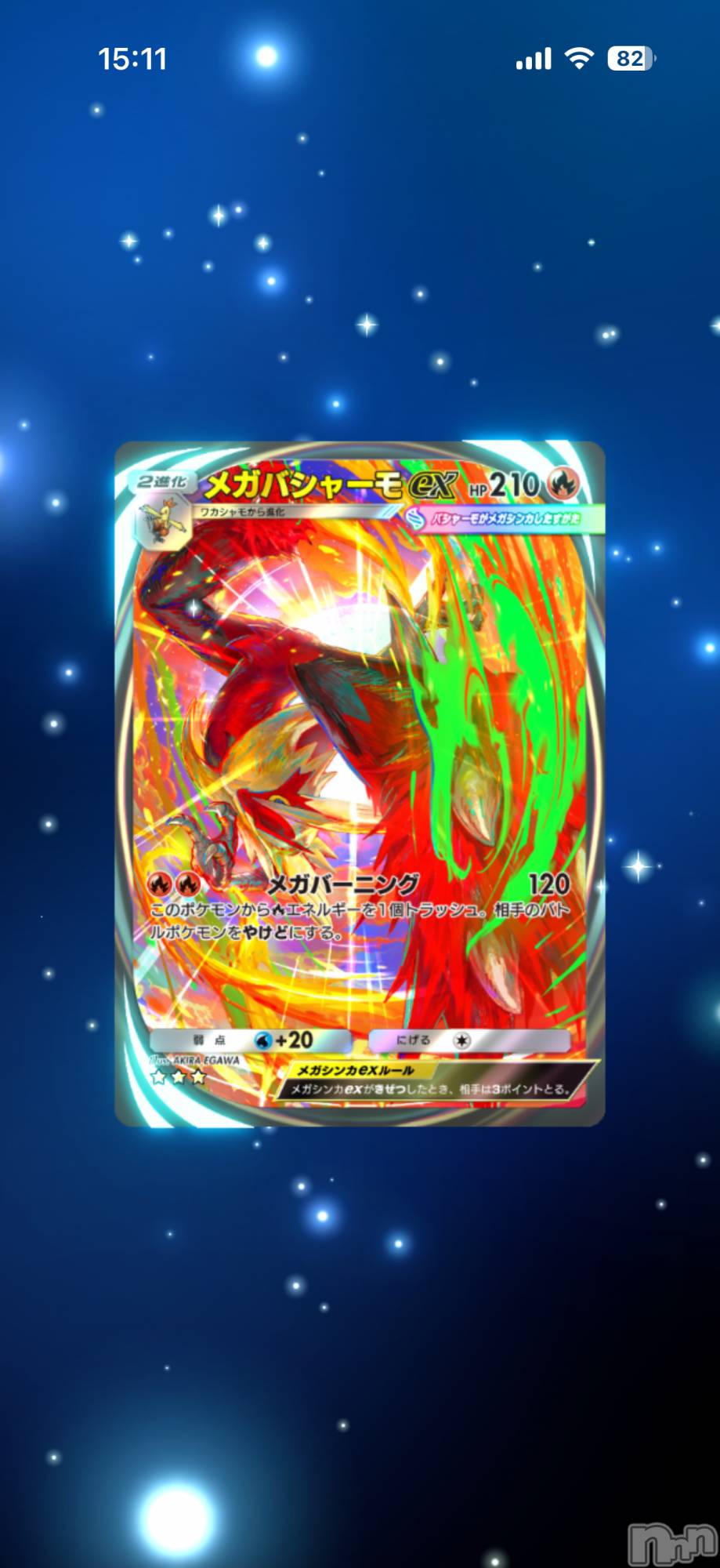 ĮХ顦֥ ץ ( ץ ) 2025ǯ124̥֥֡