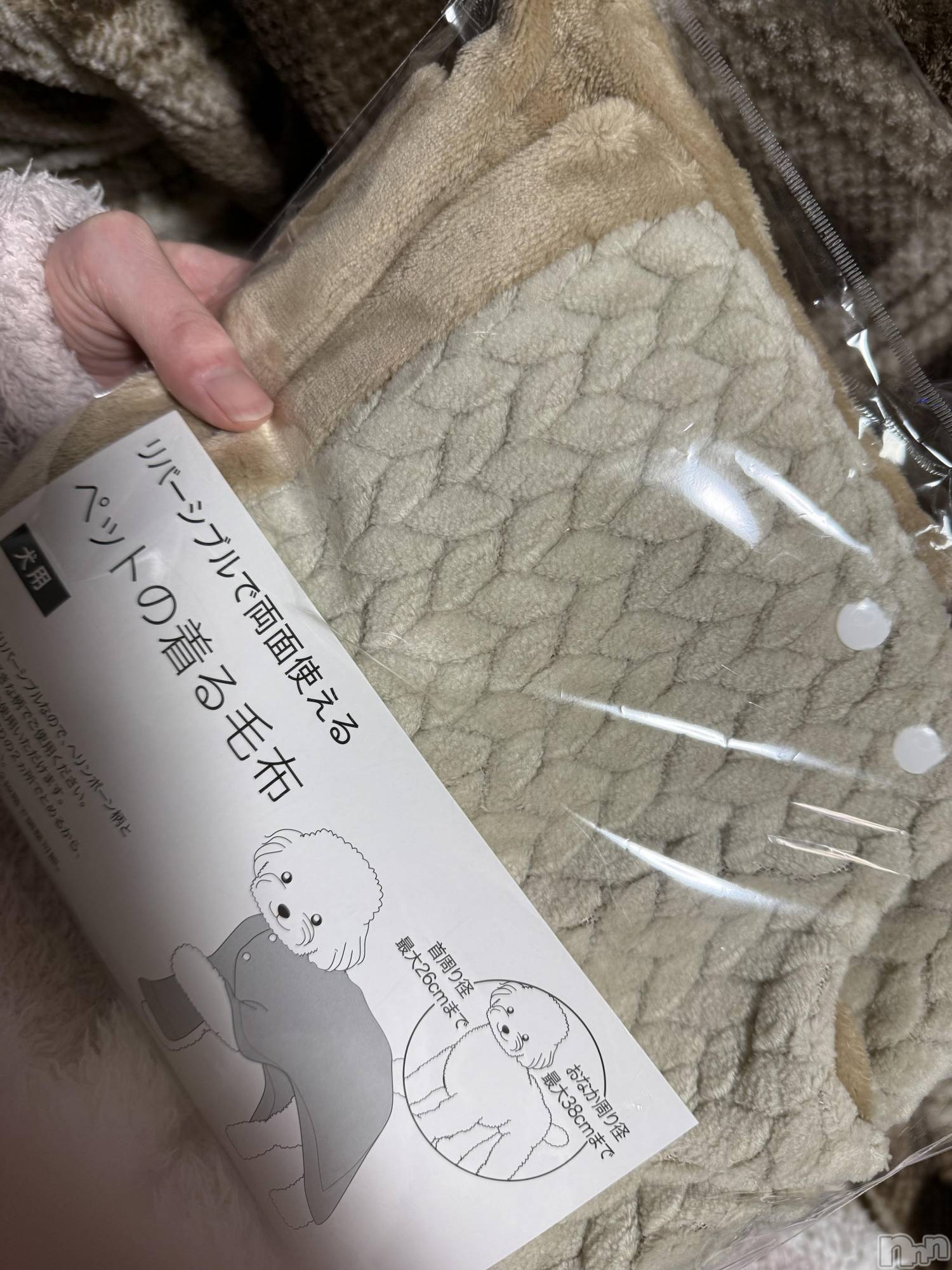 ĮХ顦֥ ץ ( ץ ) 2025ǯ124̥֥֡