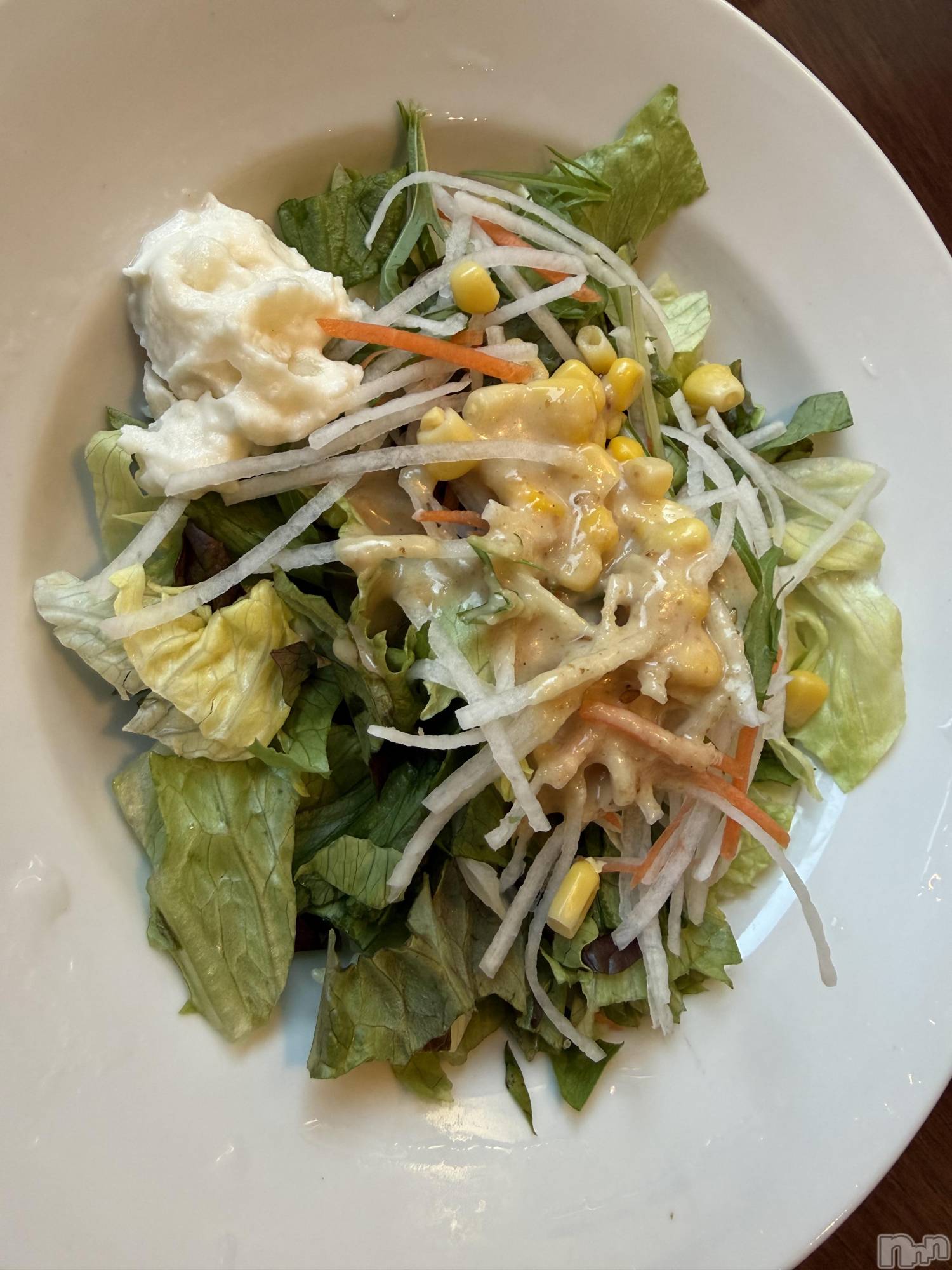 ĮХ顦֥ ץ ( ץ ) 2025ǯ125̥֥֡