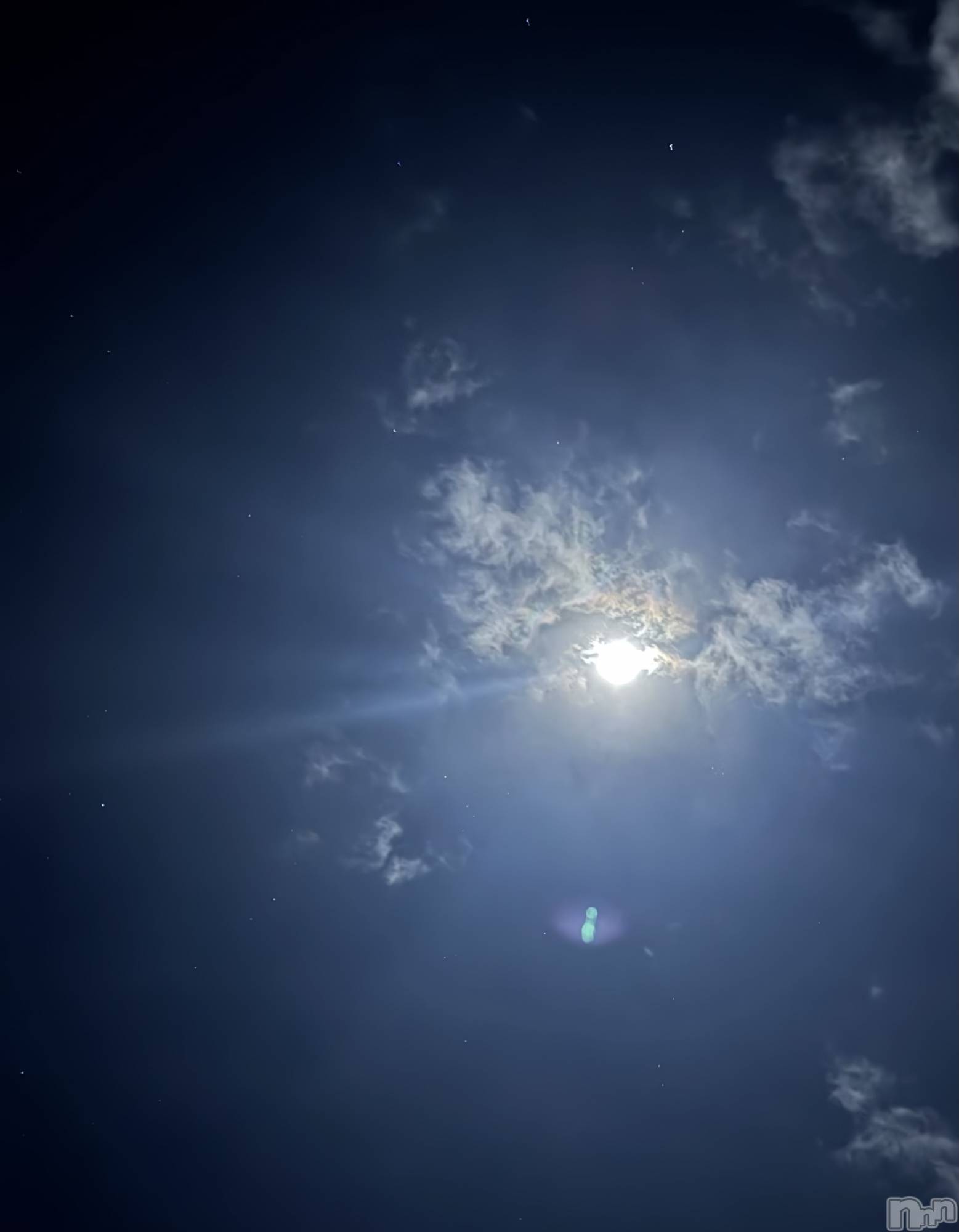 ĮХ顦֥ ץ ( ץ ) 2025ǯ125̥֥֡