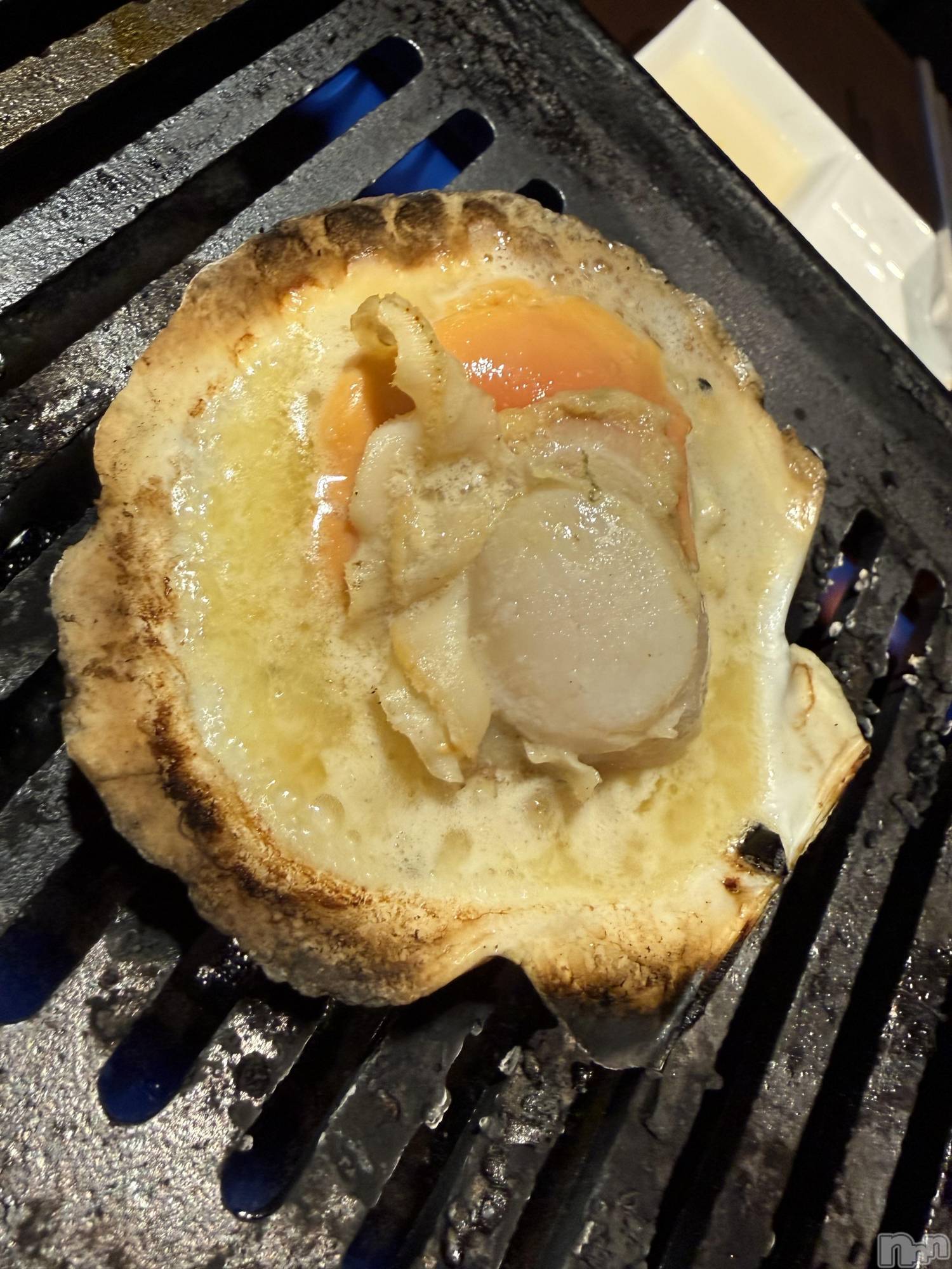 ĮХ顦֥ ץ ( ץ ) 2025ǯ128̥֥֡