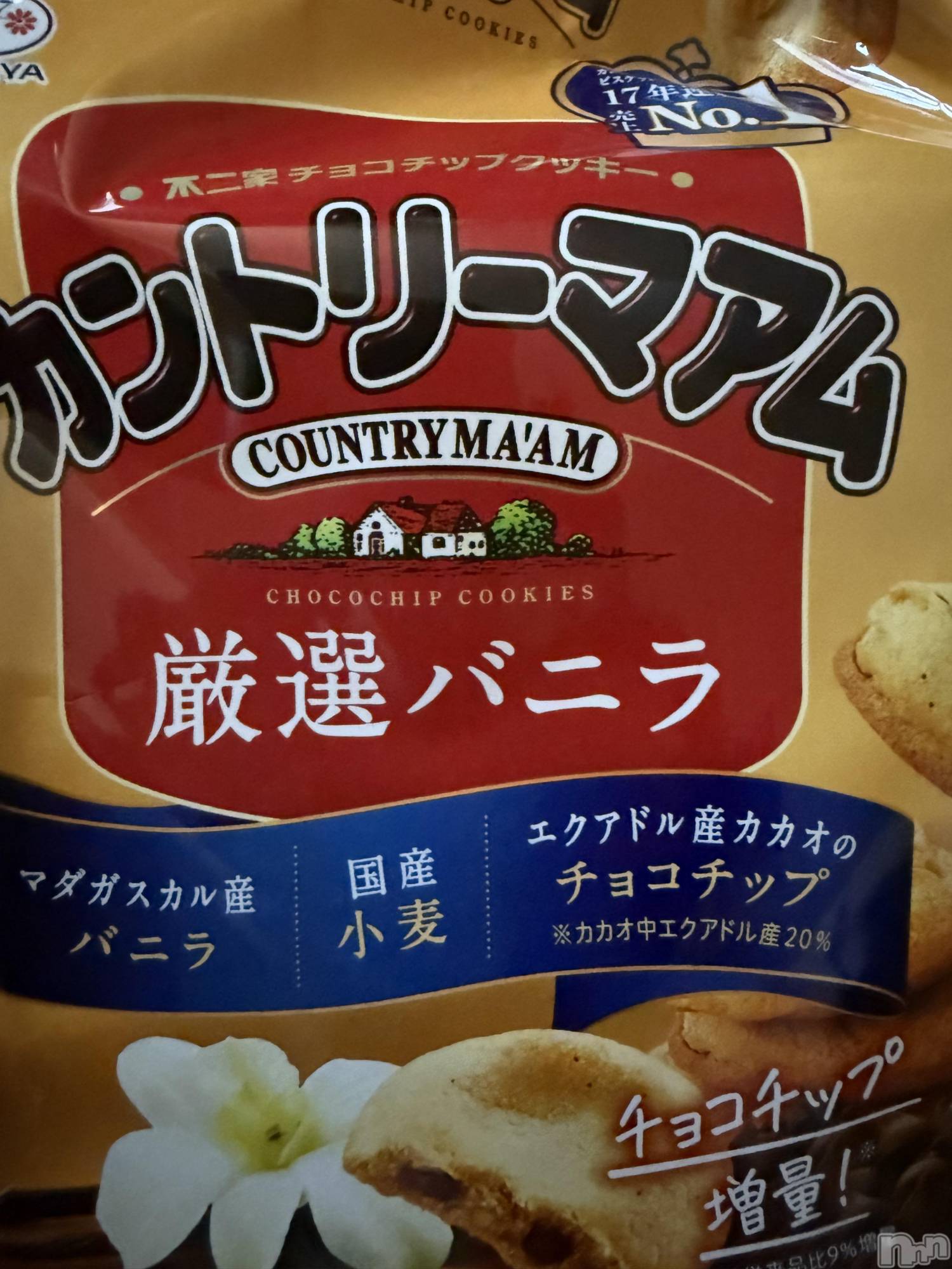 ĮХ顦֥ ץ ( ץ ) 2025ǯ1210̥֥֡