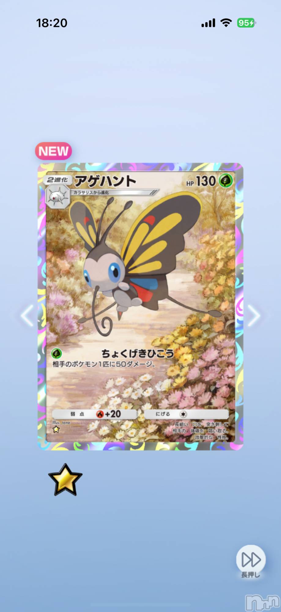 ĮХ顦֥ ץ ( ץ ) 2025ǯ1210̥֥֡