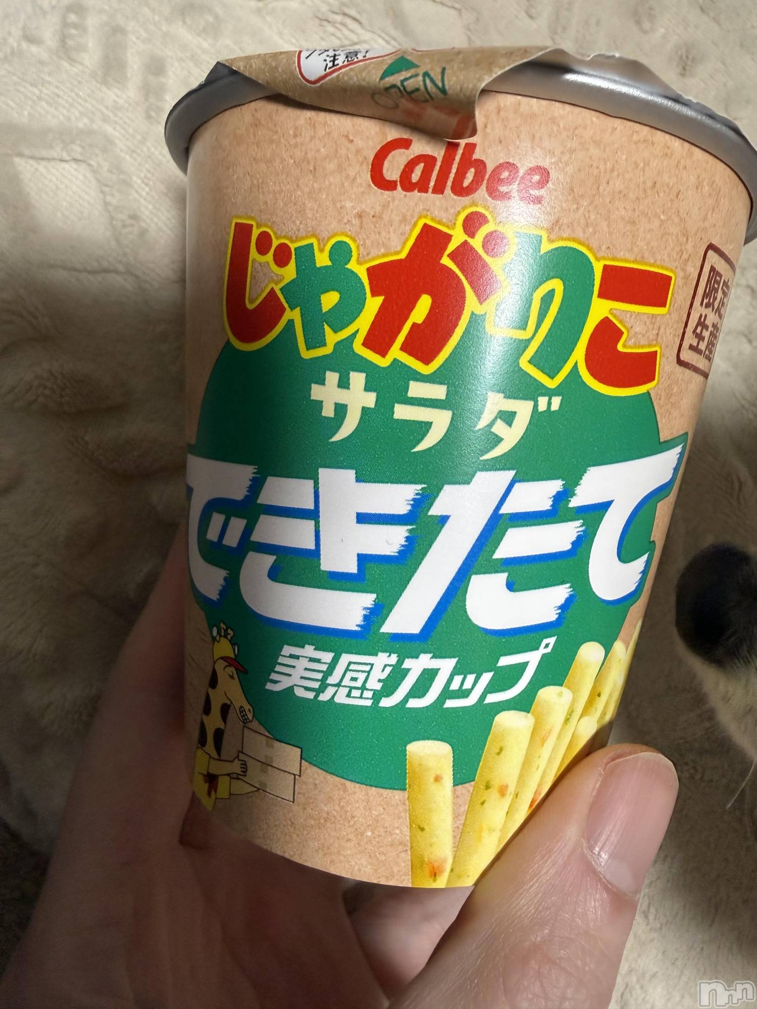 ĮХ顦֥ ץ ( ץ ) 2025ǯ1211̥֥֡