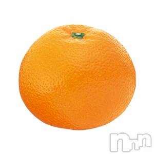 ��Į����Х��顦����֥���� �ץ���� ����(����� �ץ���� ������) ��2025ǯ12��13���̥�֥����֡���