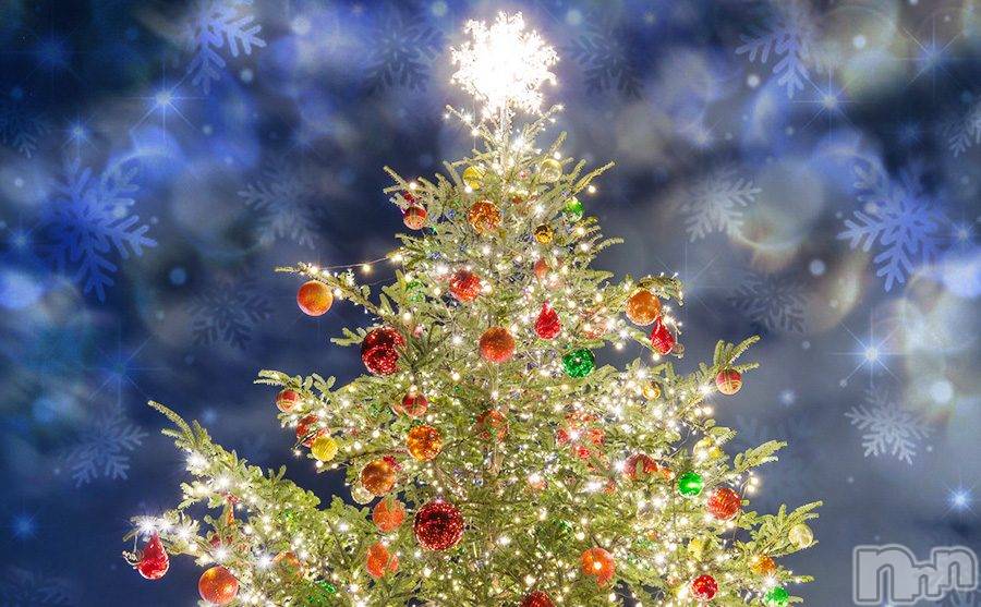 ��Į����Х��顦����֥���� �ץ���� ����(����� �ץ���� ������) ��2025ǯ12��13���̥�֥����֡���