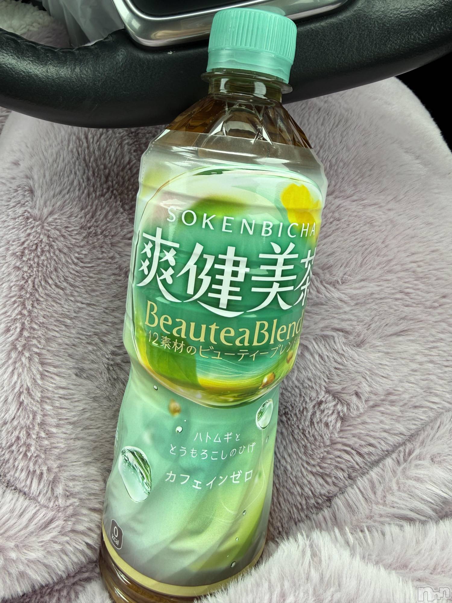 ��Į����Х��顦����֥���� �ץ���� ����(����� �ץ���� ������) ��2025ǯ12��14���̥�֥����֡���