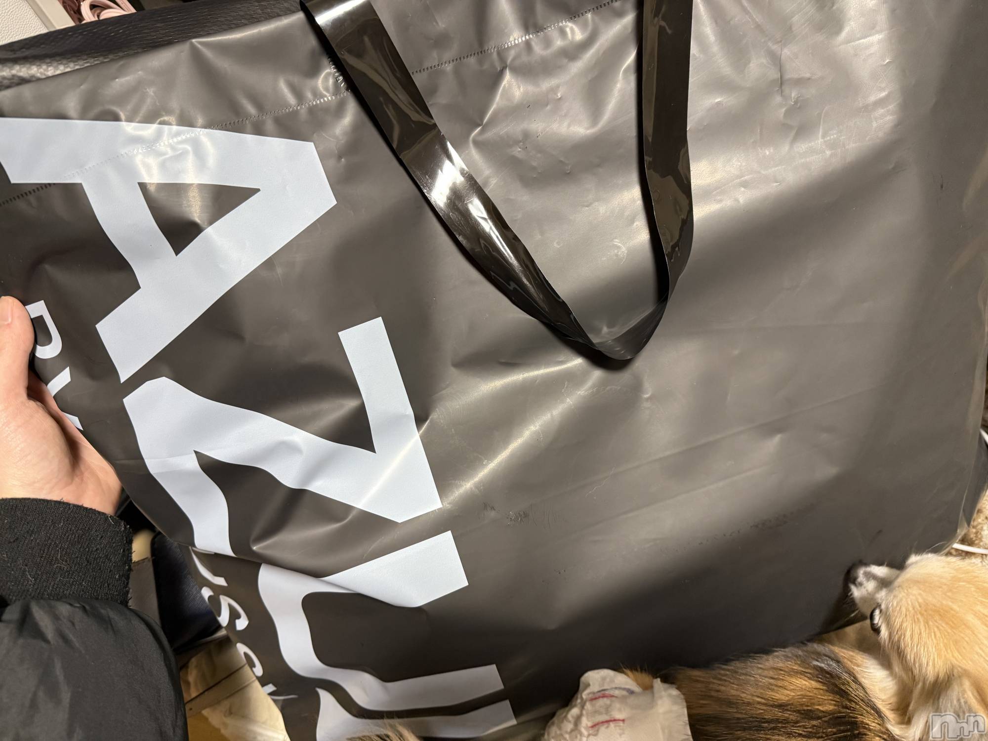 ��Į����Х��顦����֥���� �ץ���� ����(����� �ץ���� ������) ��2025ǯ12��14���̥�֥����֡���