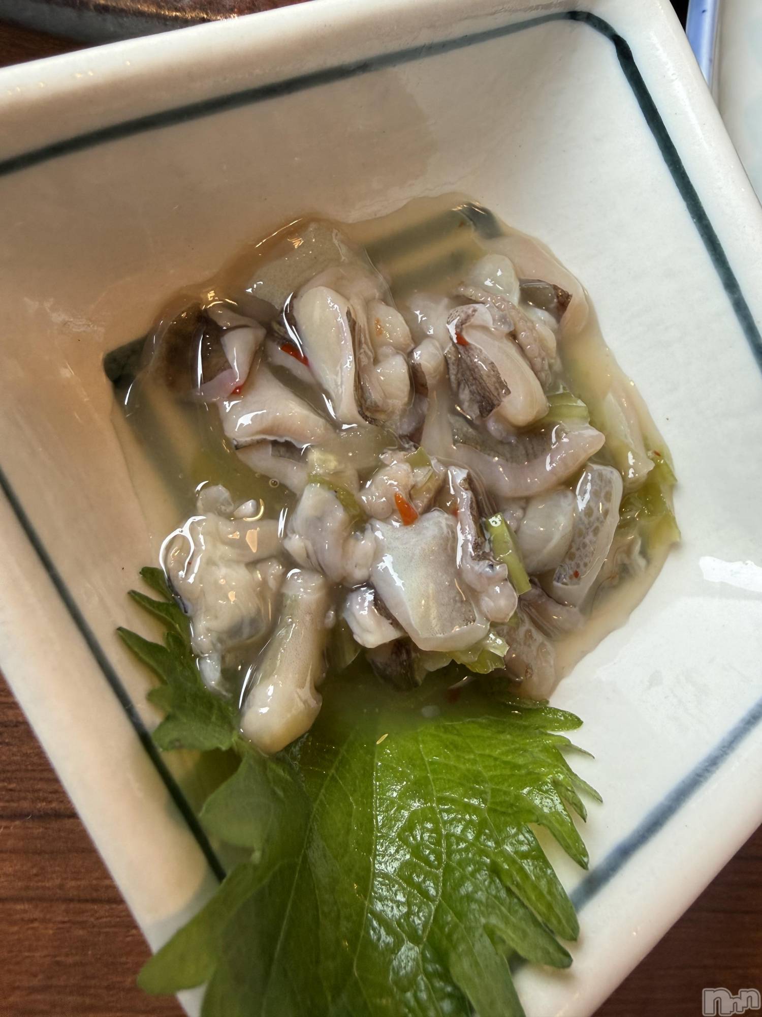 ��Į����Х��顦����֥���� �ץ���� ����(����� �ץ���� ������) ��2025ǯ12��15���̥�֥����֡���