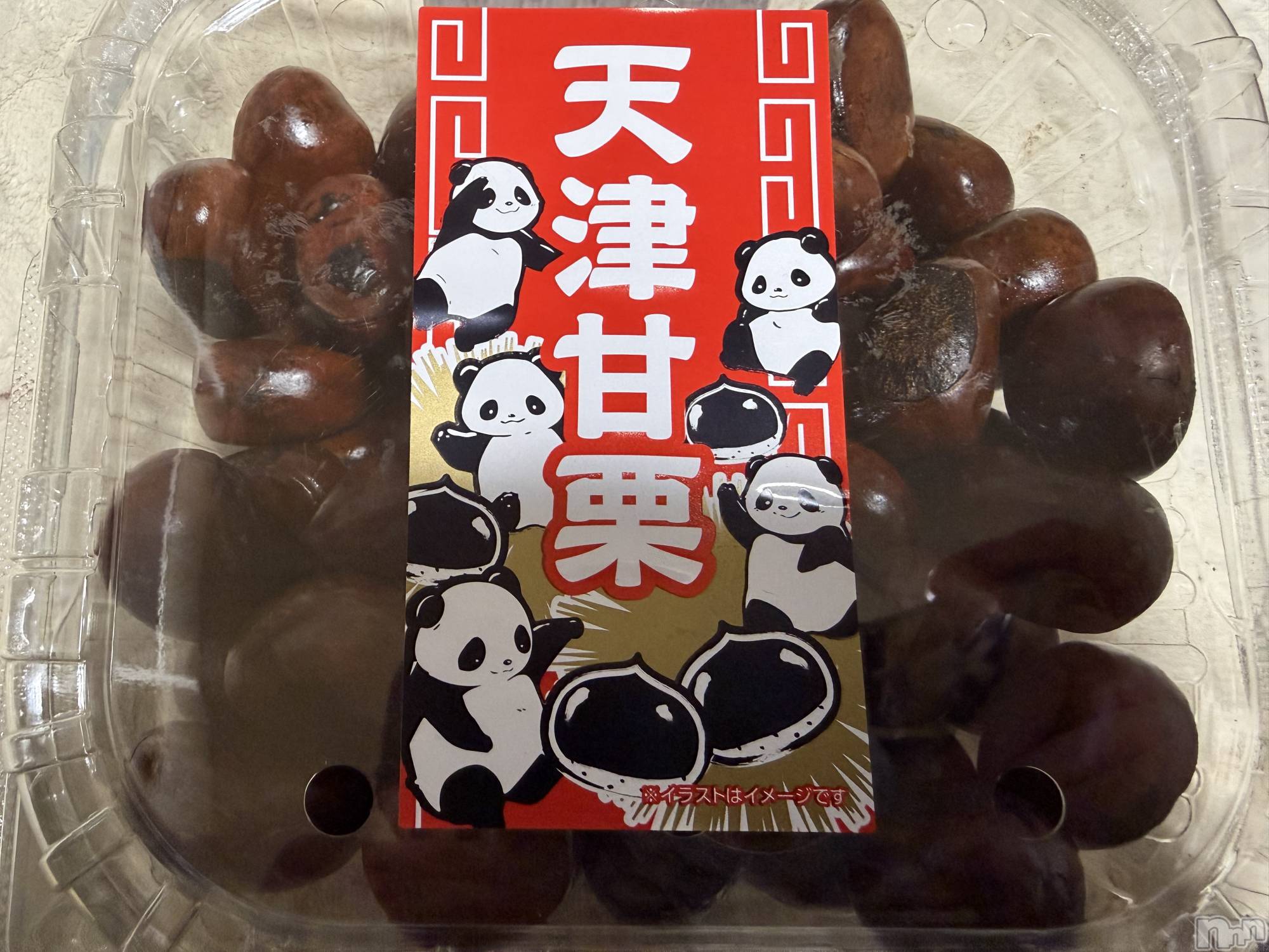 ��Į����Х��顦����֥���� �ץ���� ����(����� �ץ���� ������) ��2025ǯ12��15���̥�֥����֡���