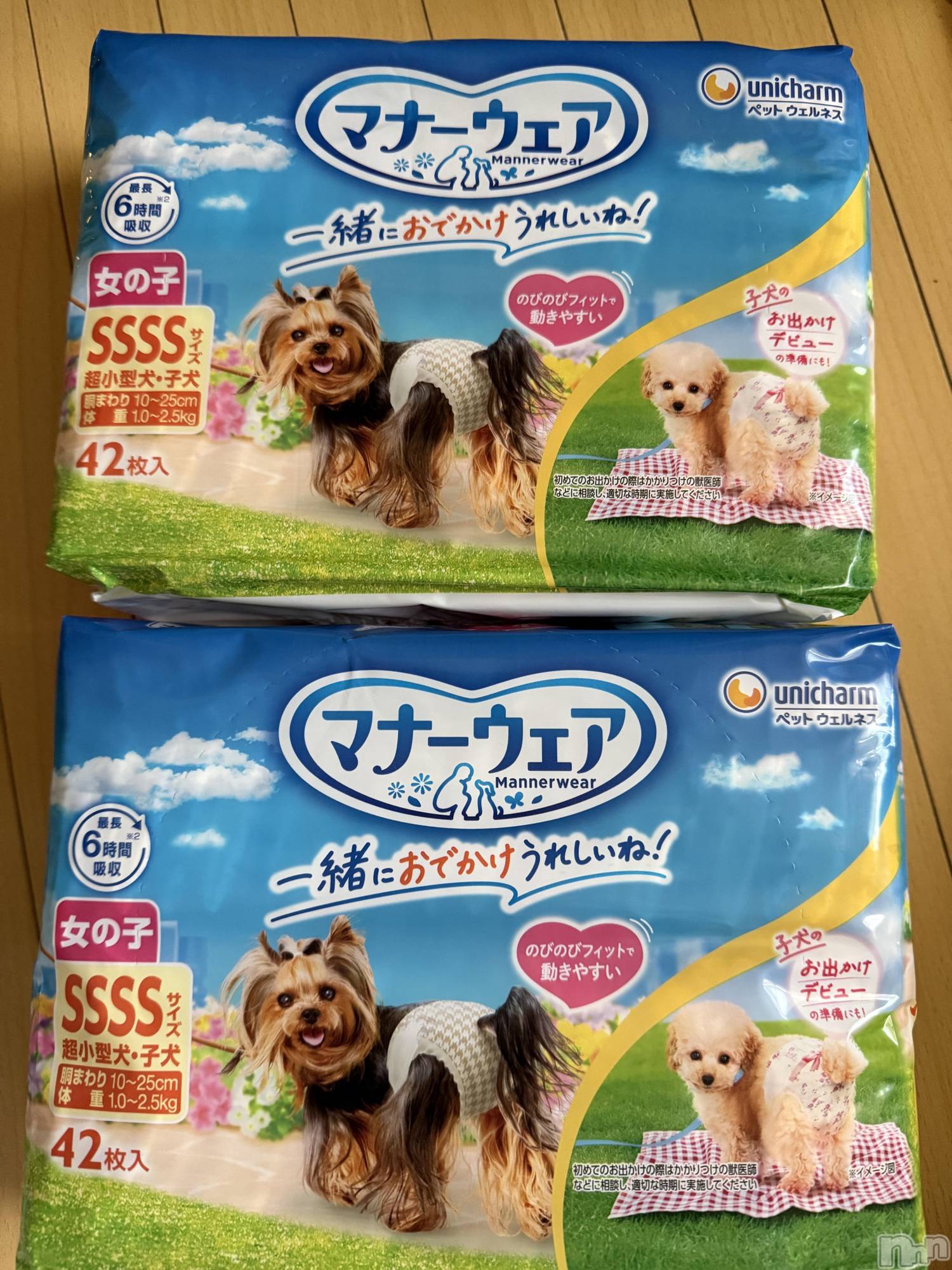 ��Į����Х��顦����֥���� �ץ���� ����(����� �ץ���� ������) ��2025ǯ12��20���̥�֥����֡���