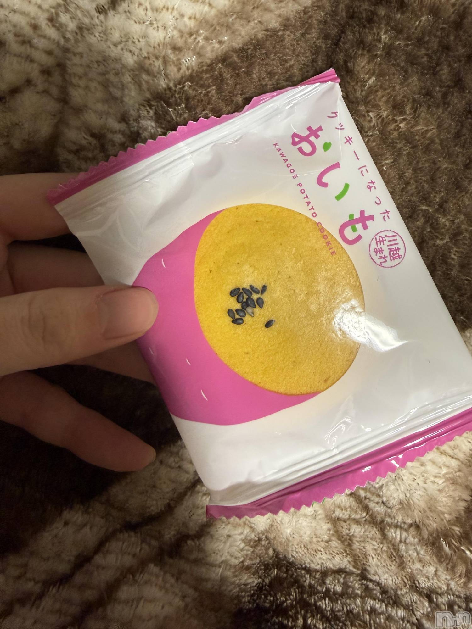 ��Į����Х��顦����֥���� �ץ���� ����(����� �ץ���� ������) ��2025ǯ12��20���̥�֥����֡���