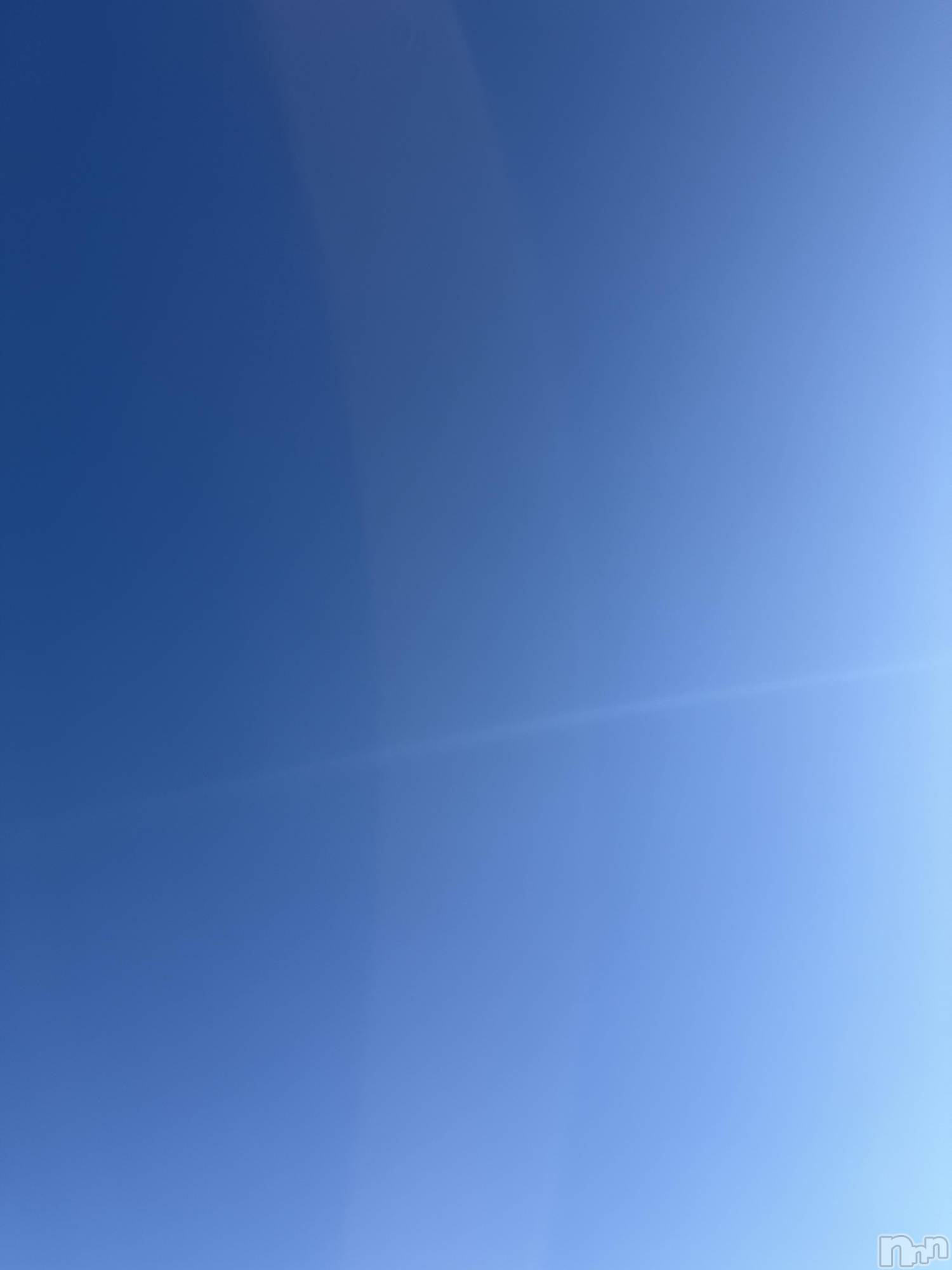 ��Į����Х��顦����֥���� �ץ���� ����(����� �ץ���� ������) ��2025ǯ12��20���̥�֥����֡���