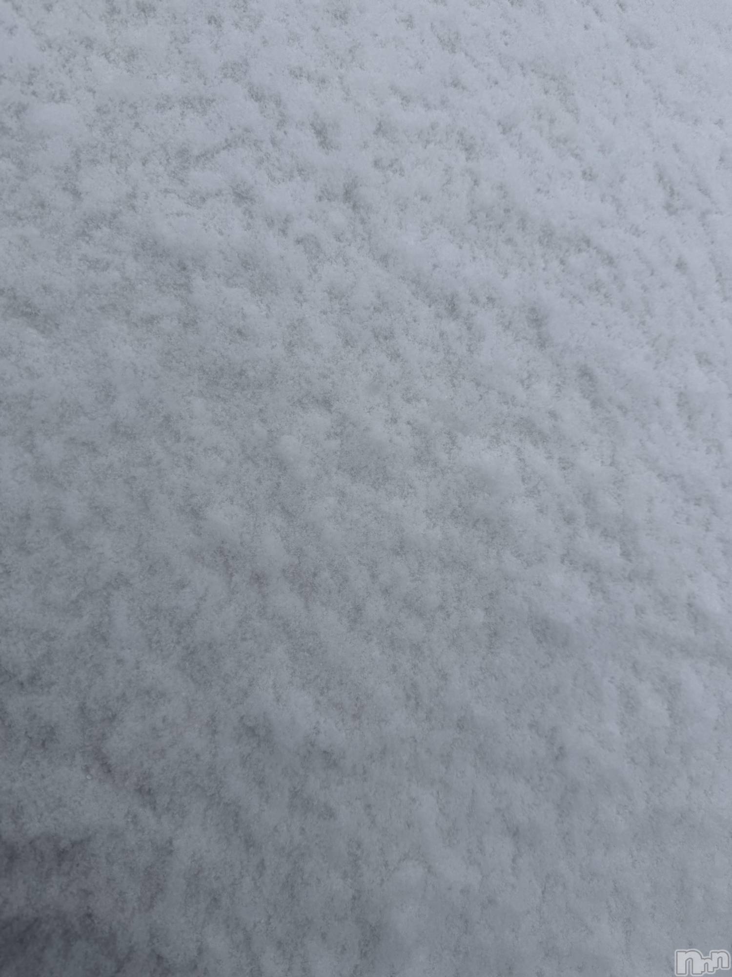 ��Į����Х��顦����֥���� �ץ���� ����(����� �ץ���� ������) ��2025ǯ12��26���̥�֥����֡���