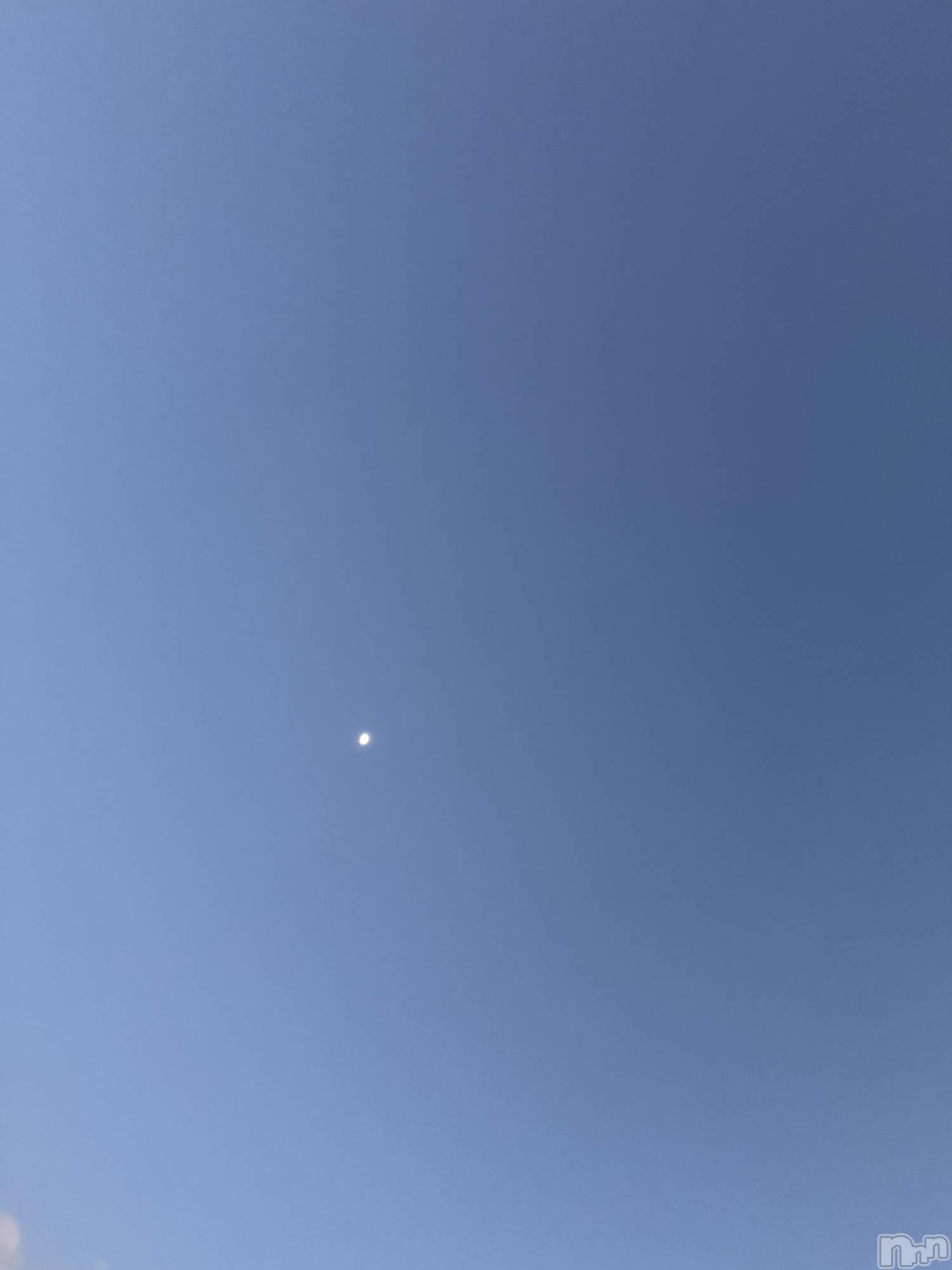 ��Į����Х��顦����֥���� �ץ���� ����(����� �ץ���� ������) ��2025ǯ12��30���̥�֥����֡���