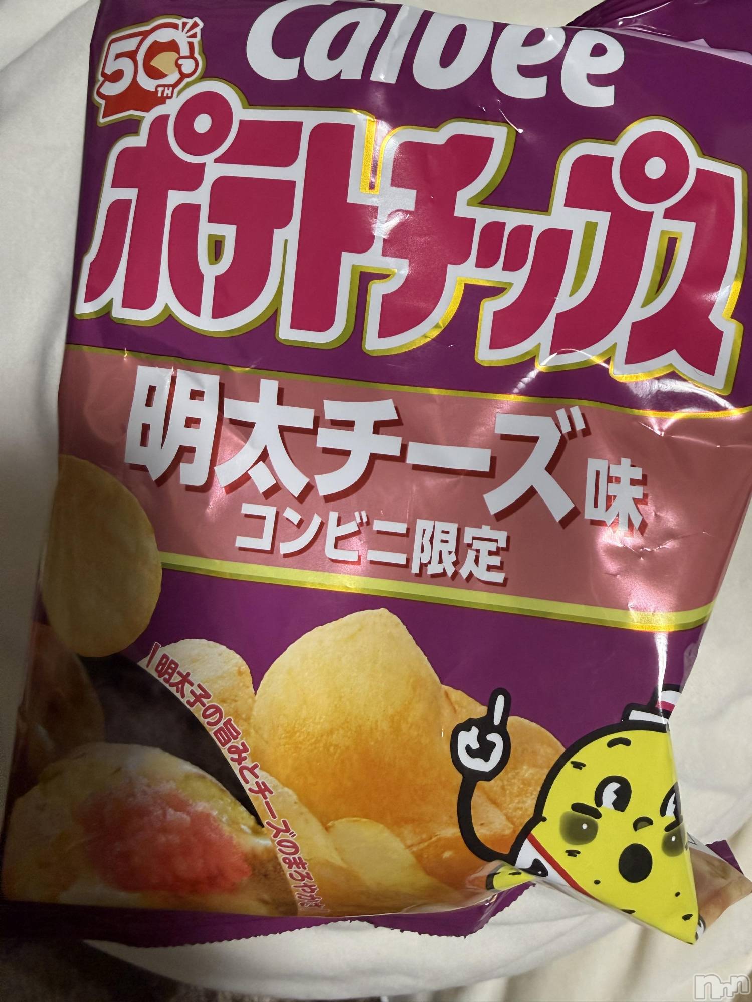 ��Į����Х��顦����֥���� �ץ���� ����(����� �ץ���� ������) ��2026ǯ1��1���̥�֥����֡���