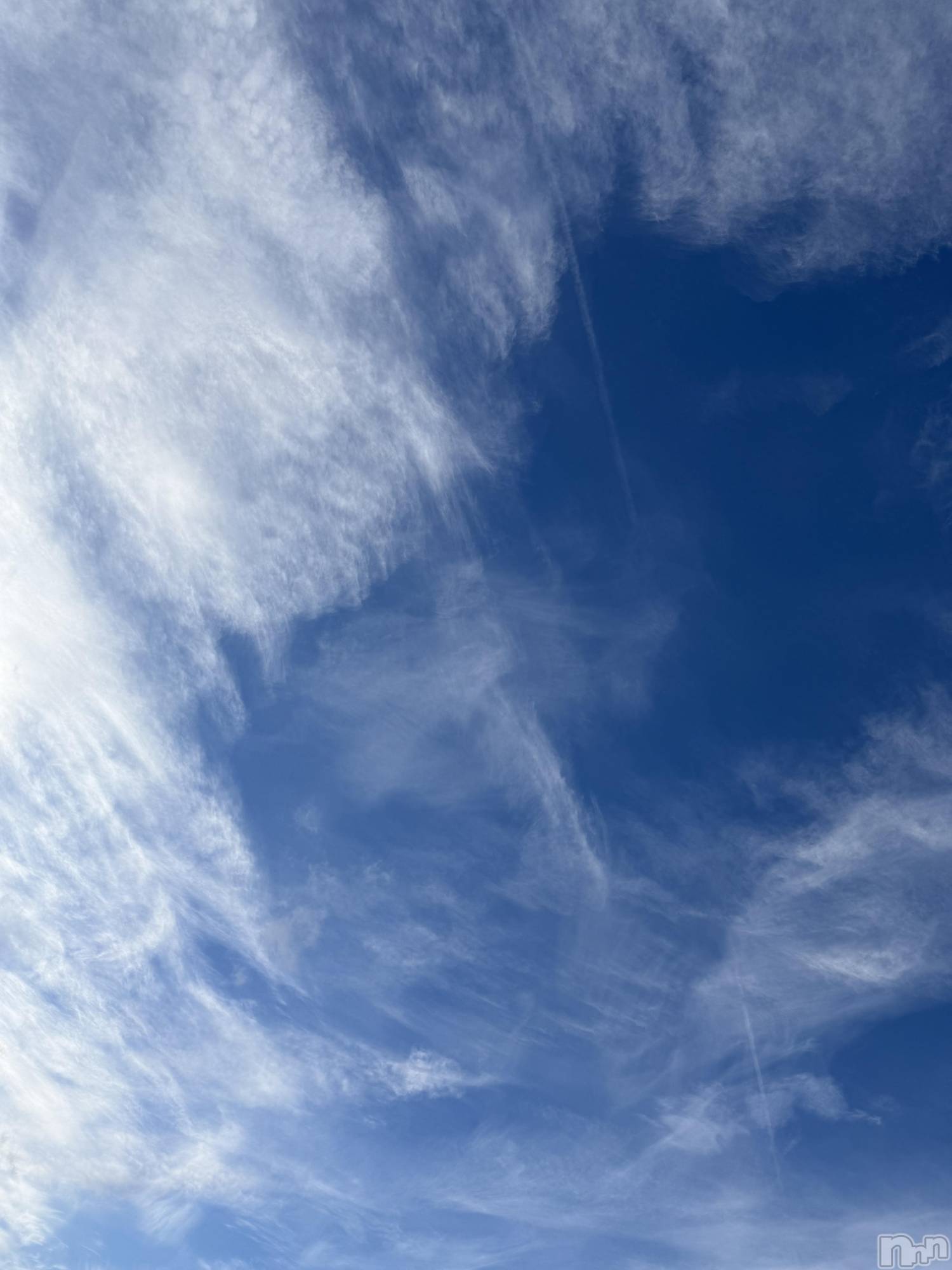 ��Į����Х��顦����֥���� �ץ���� ����(����� �ץ���� ������) ��2026ǯ1��2���̥�֥����֡���