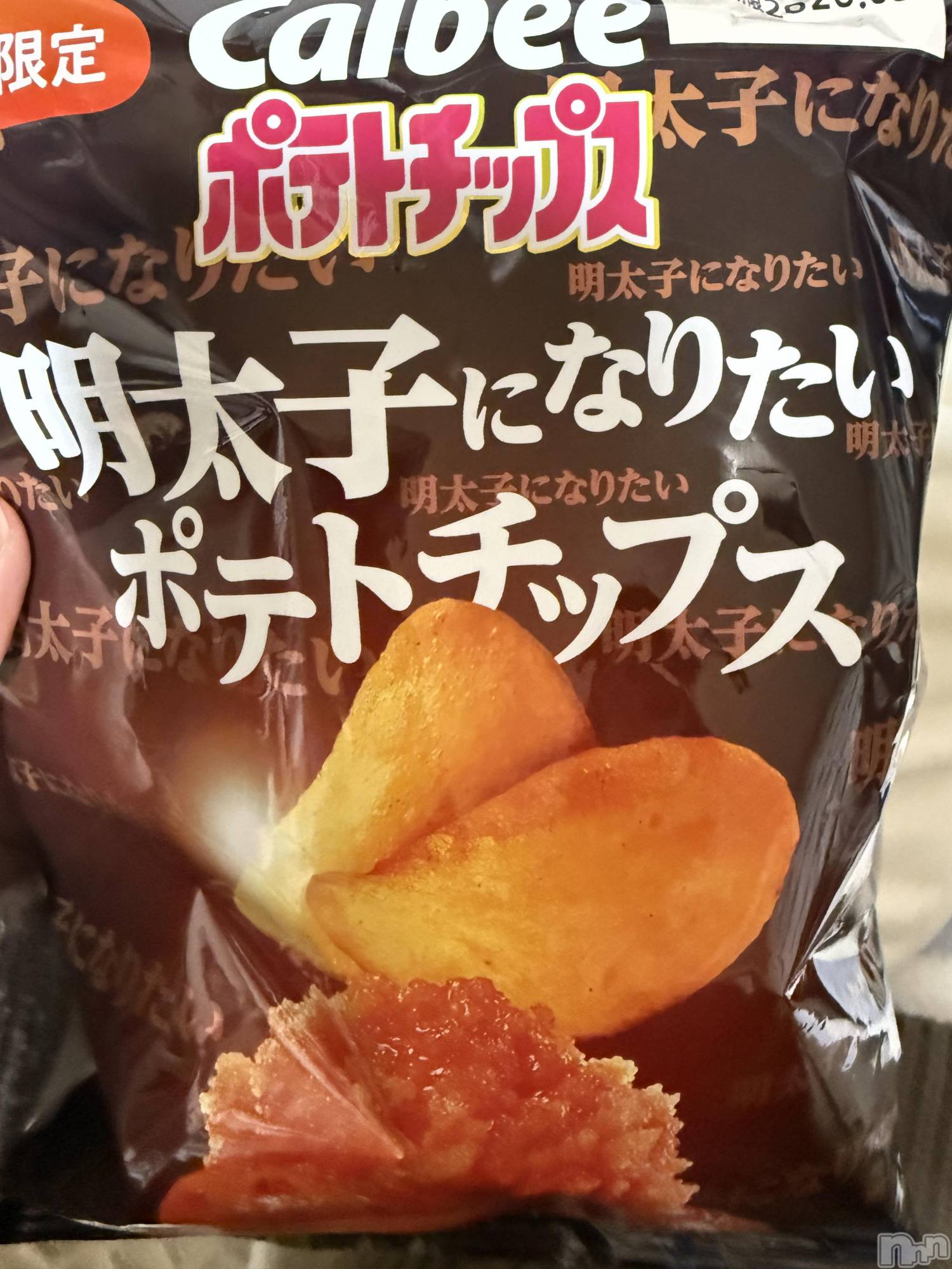 ��Į����Х��顦����֥���� �ץ���� ����(����� �ץ���� ������) ��2026ǯ1��3���̥�֥����֡���