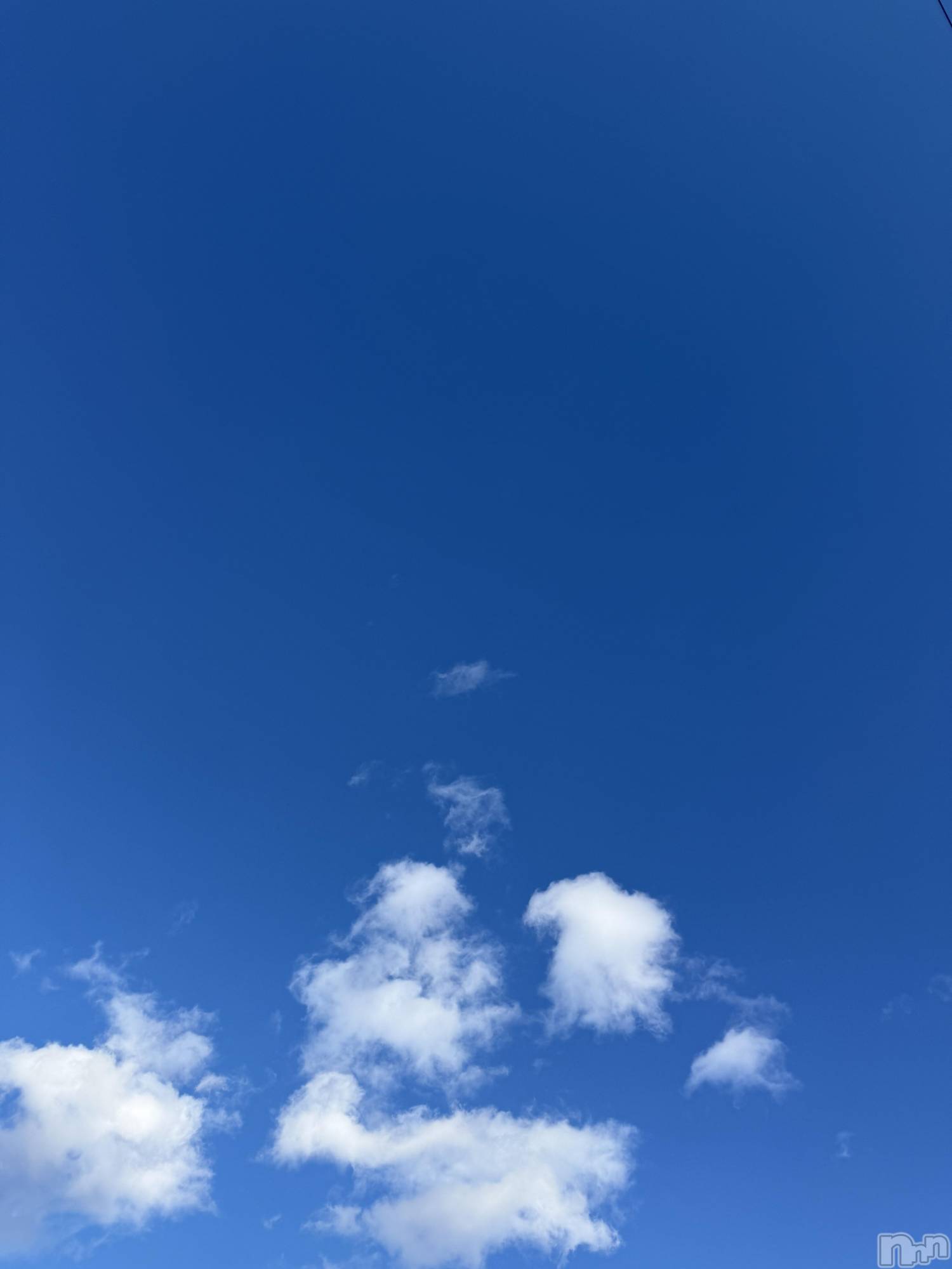 ��Į����Х��顦����֥���� �ץ���� ����(����� �ץ���� ������) ��2026ǯ1��3���̥�֥����֡���