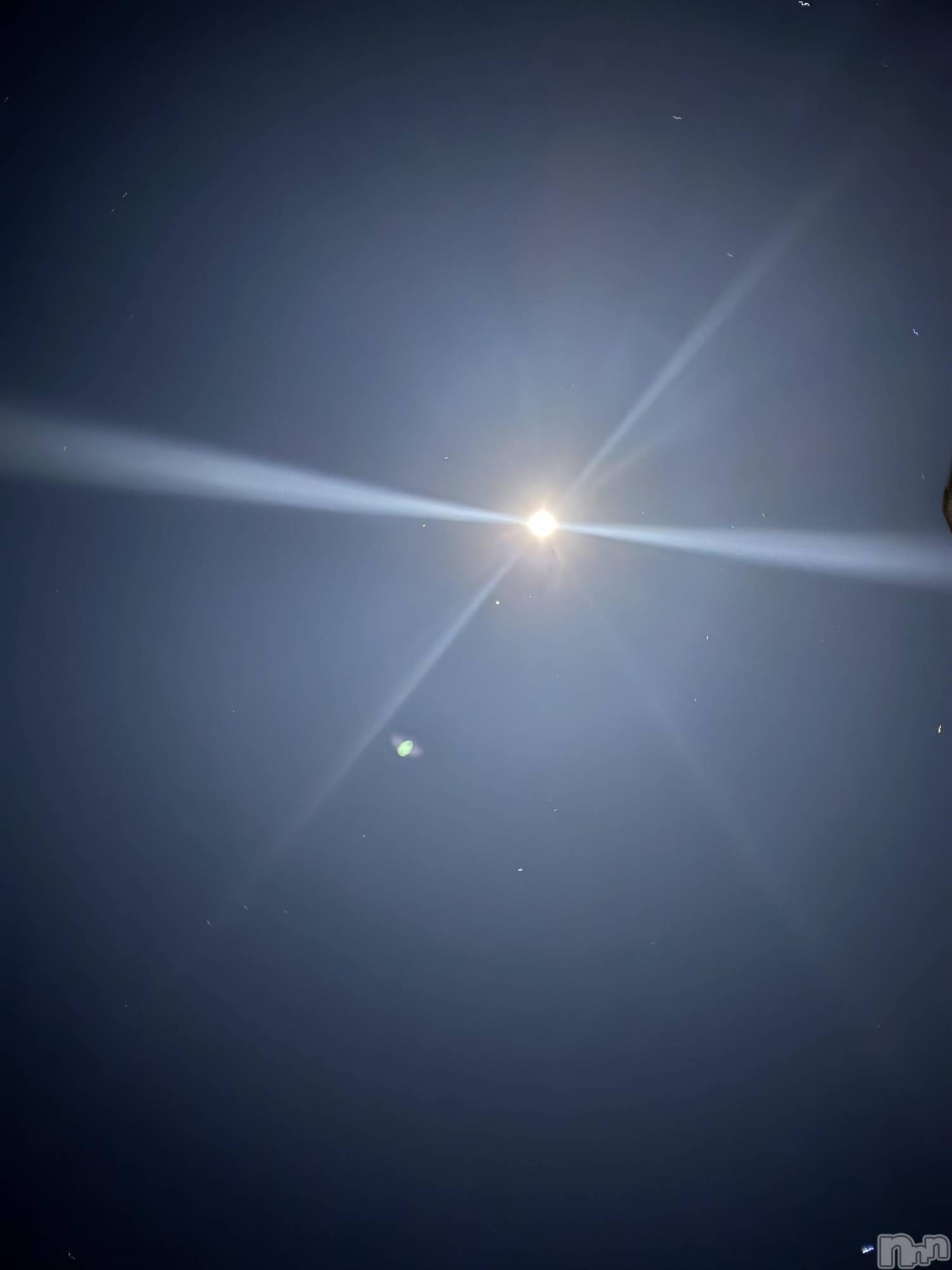 ��Į����Х��顦����֥���� �ץ���� ����(����� �ץ���� ������) ��2026ǯ1��4���̥�֥����֡���