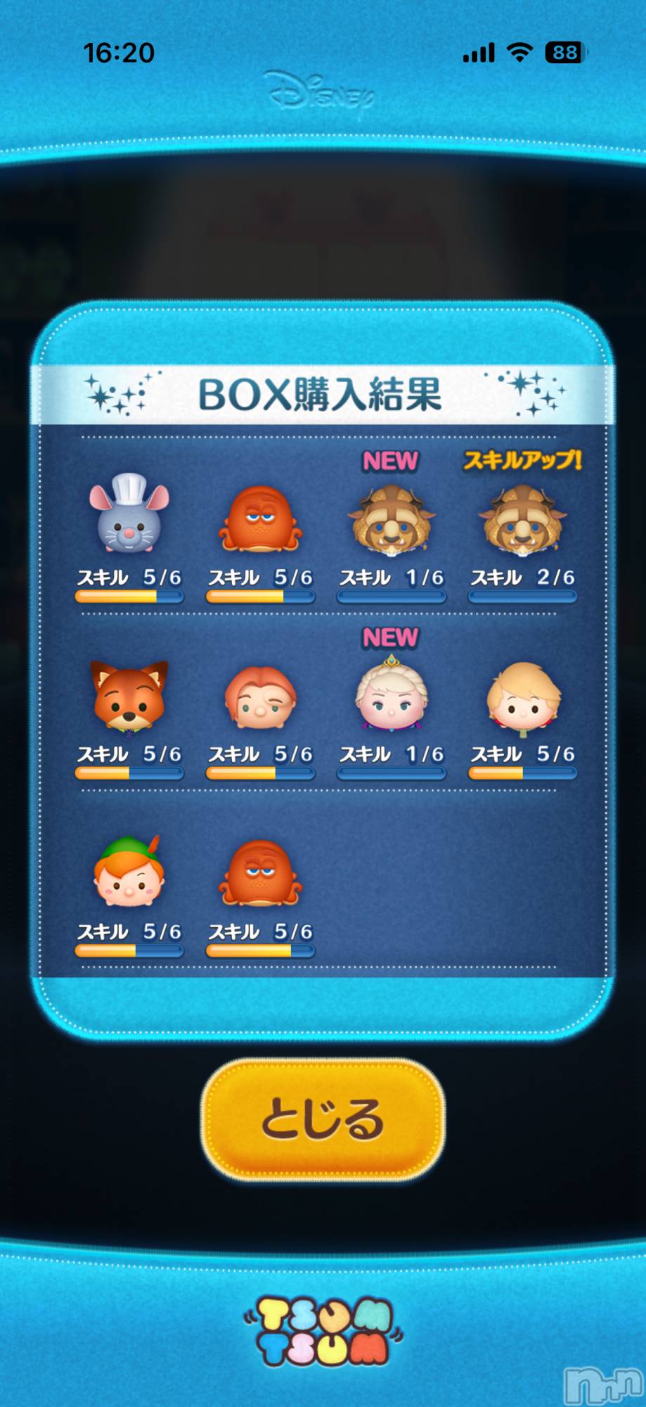 ��Į����Х��顦����֥���� �ץ���� ����(����� �ץ���� ������) ��2026ǯ1��5���̥�֥����֡���