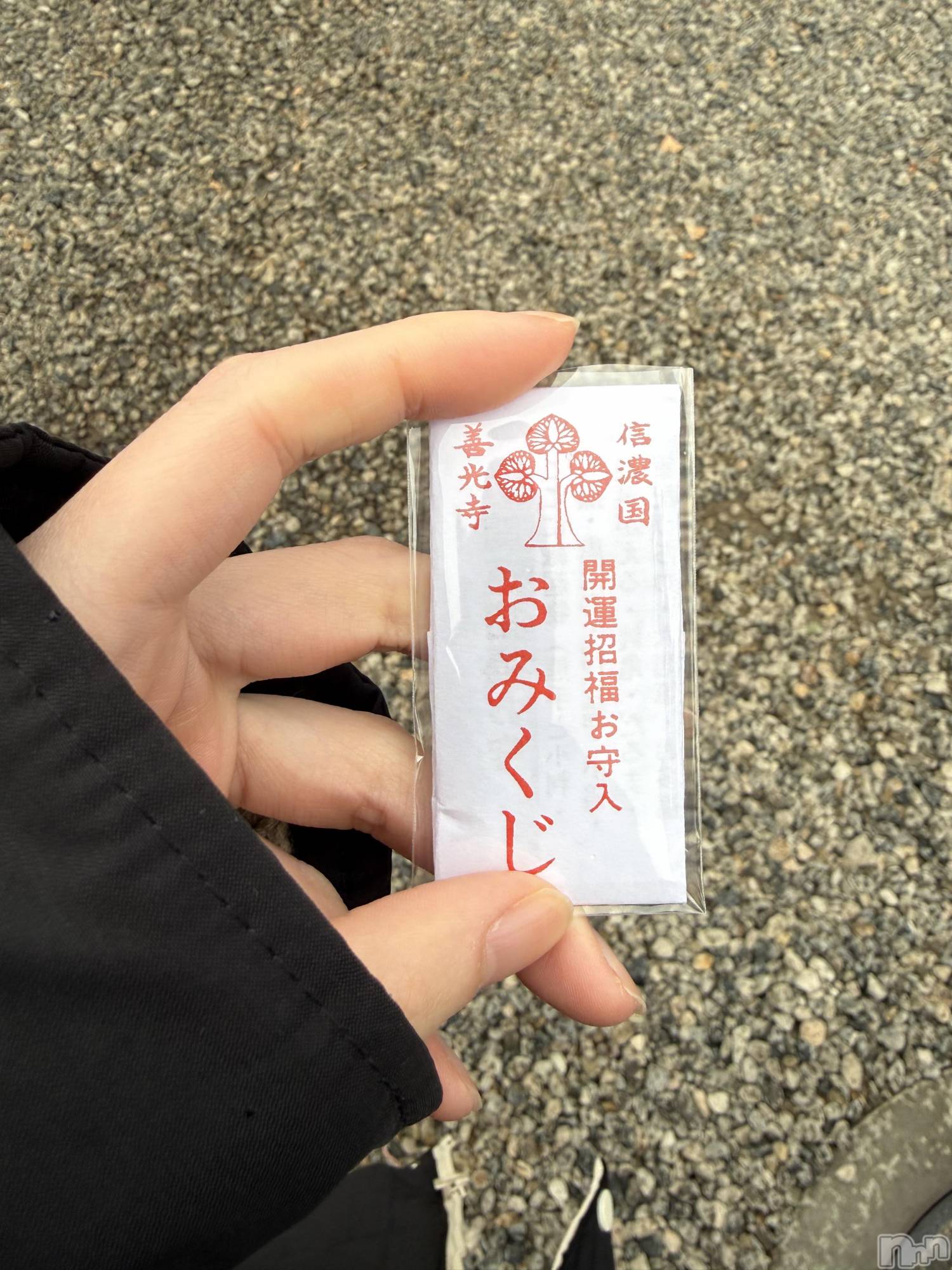 ��Į����Х��顦����֥���� �ץ���� ����(����� �ץ���� ������) ��2026ǯ1��5���̥�֥����֡���