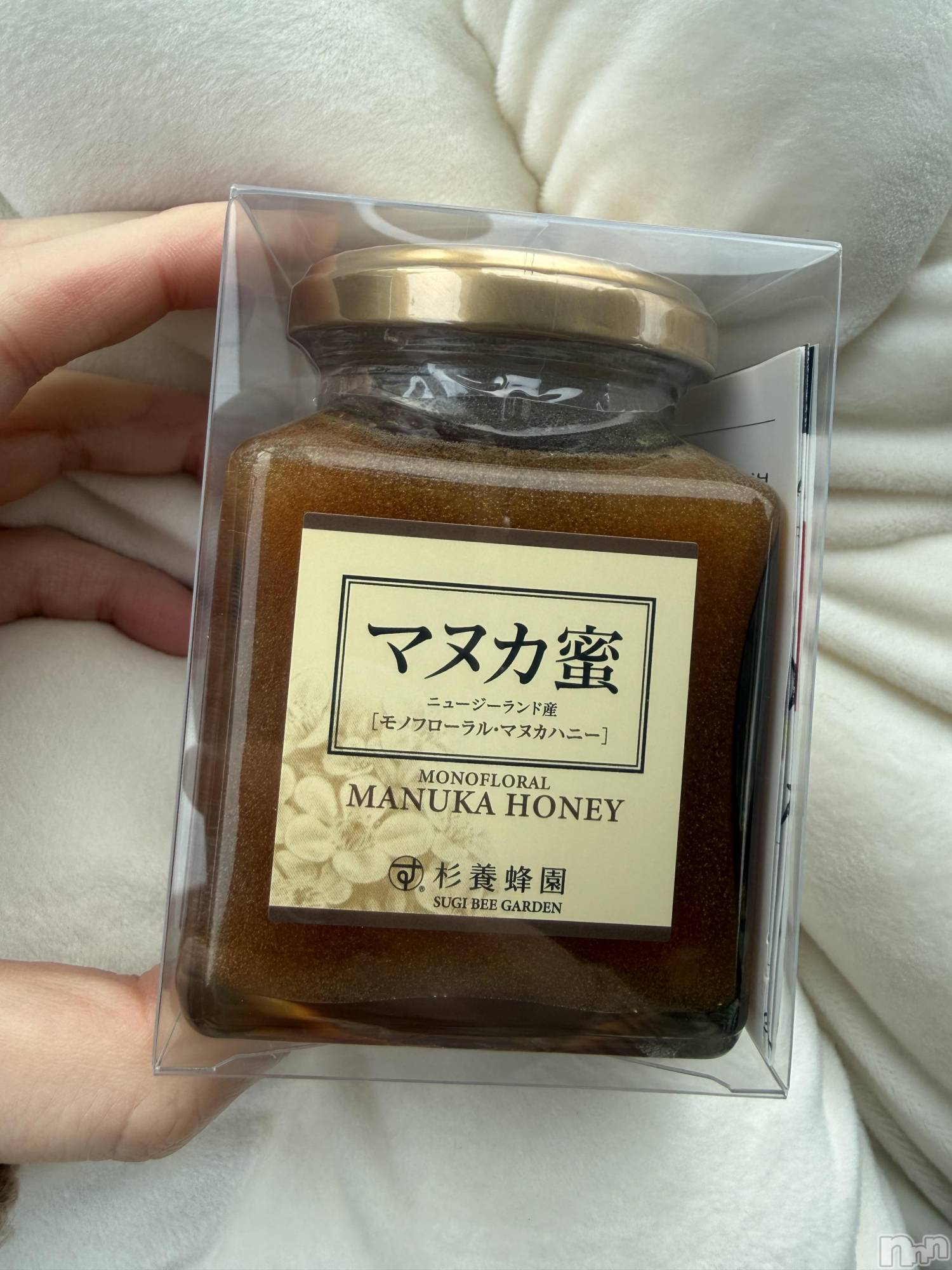 ��Į����Х��顦����֥���� �ץ���� ����(����� �ץ���� ������) ��2026ǯ1��5���̥�֥����֡���