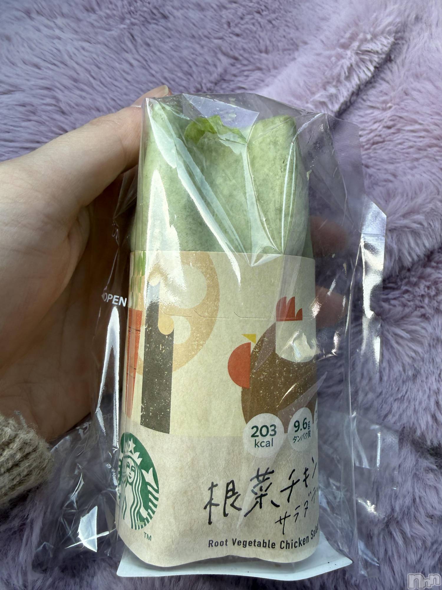 ��Į����Х��顦����֥���� �ץ���� ����(����� �ץ���� ������) ��2026ǯ1��6���̥�֥����֡���