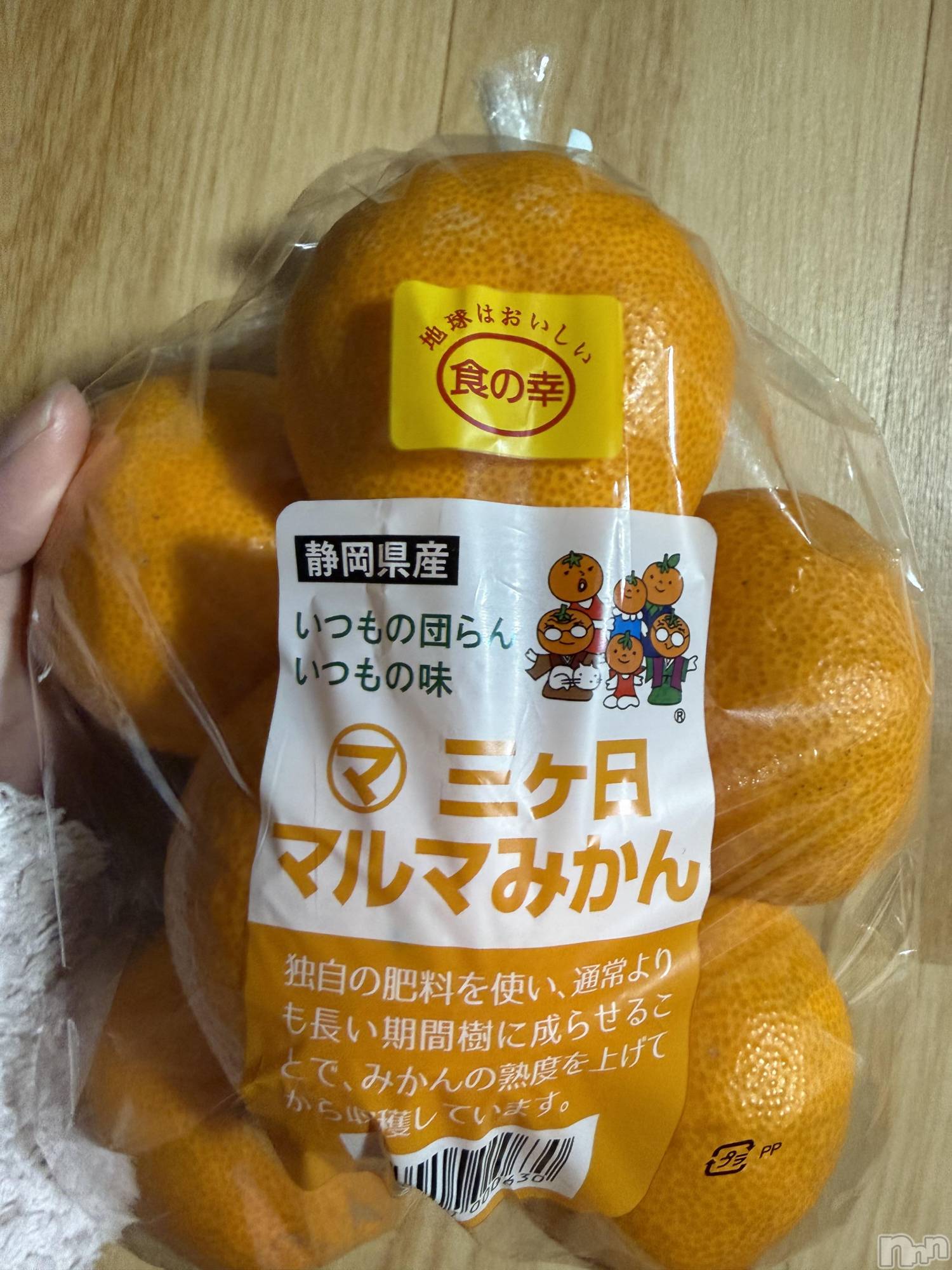 ��Į����Х��顦����֥���� �ץ���� ����(����� �ץ���� ������) ��2026ǯ1��7���̥�֥����֡���