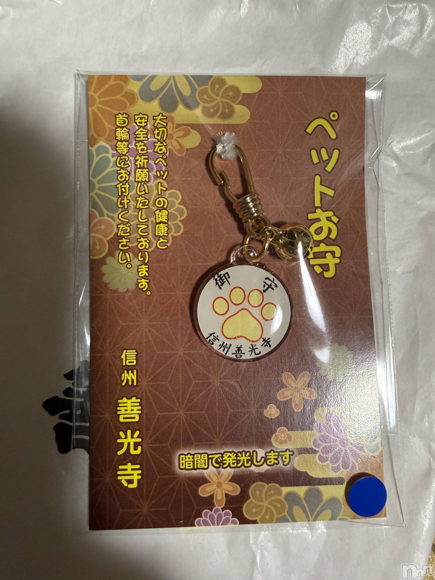 ��Į����Х��顦����֥���� �ץ���� ����(����� �ץ���� ������) ��2026ǯ1��7���̥�֥����֡���