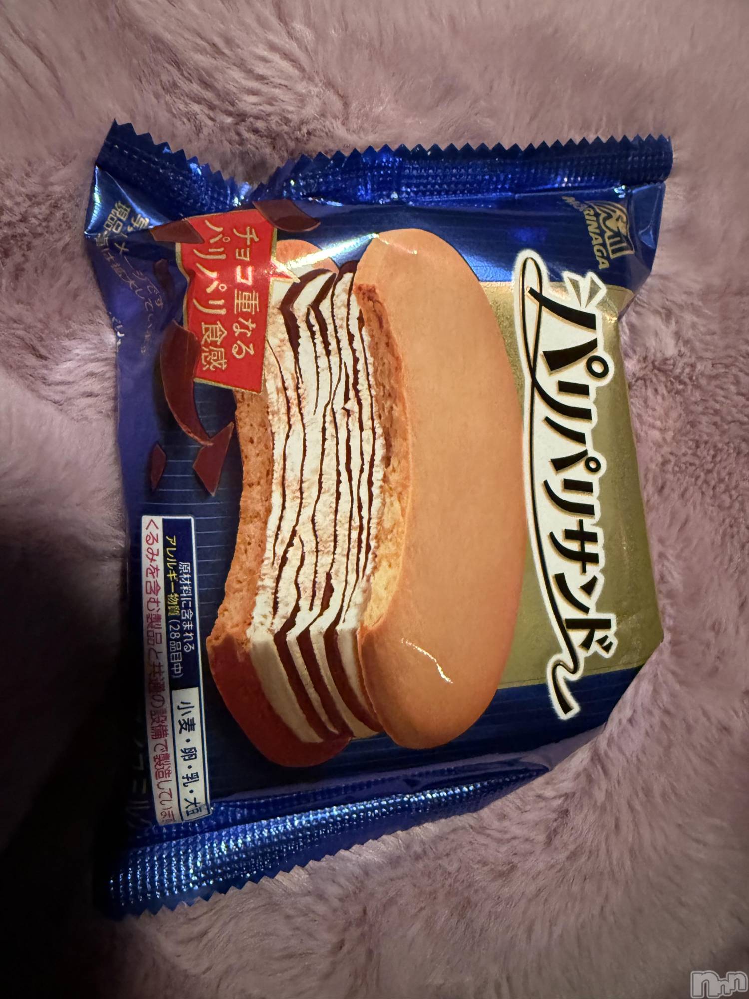 ��Į����Х��顦����֥���� �ץ���� ����(����� �ץ���� ������) ��2026ǯ1��9���̥�֥����֡���