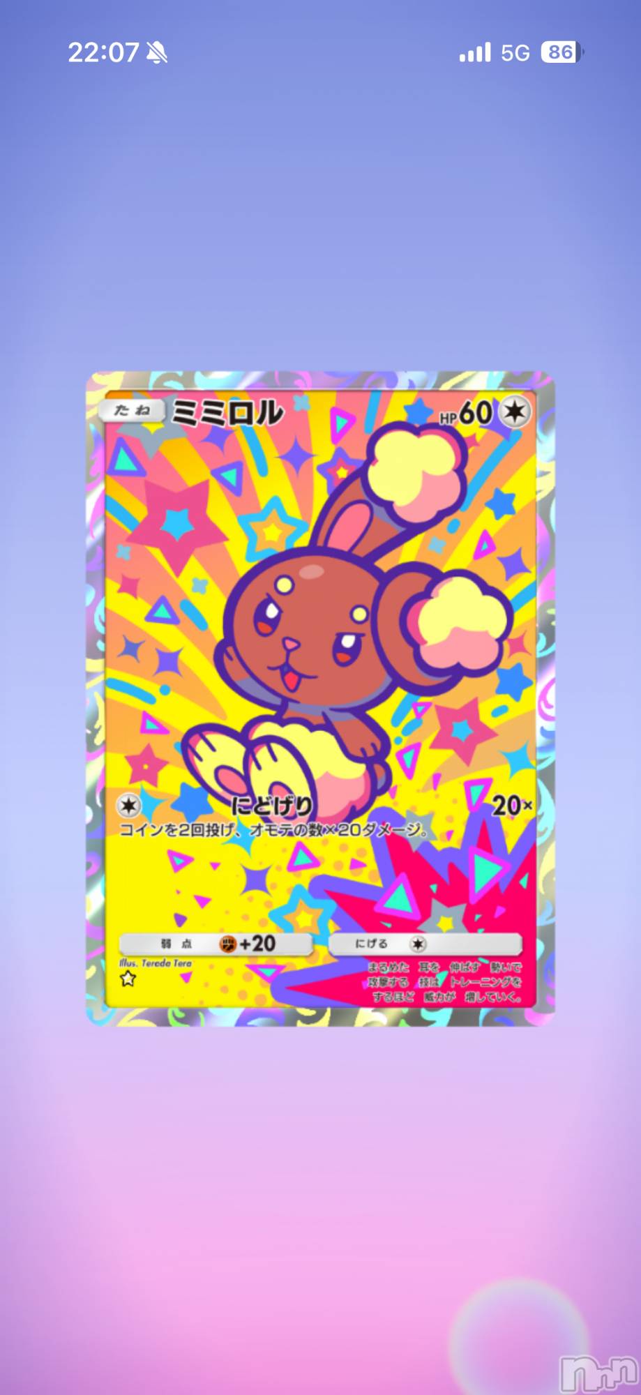 ��Į����Х��顦����֥���� �ץ���� ����(����� �ץ���� ������) ��2026ǯ1��11���̥�֥����֡���