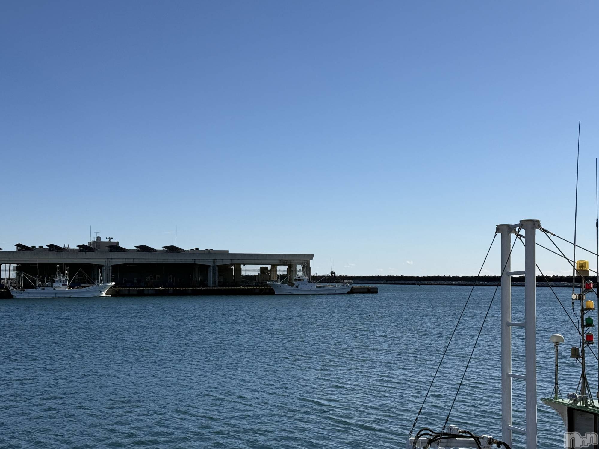 ��Į����Х��顦����֥���� �ץ���� ����(����� �ץ���� ������) ��2026ǯ1��14���̥�֥����֡���