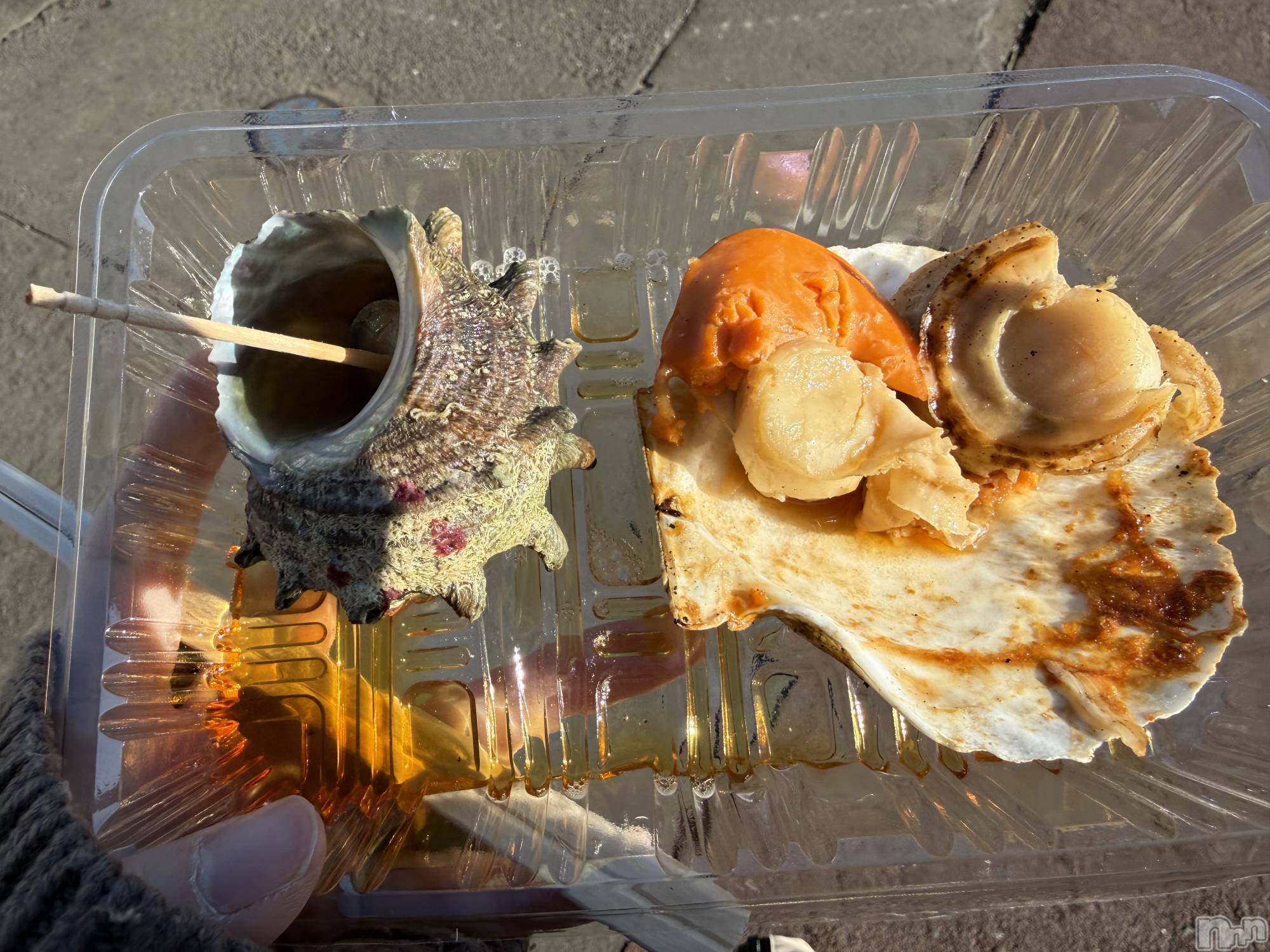 ��Į����Х��顦����֥���� �ץ���� ����(����� �ץ���� ������) ��2026ǯ1��14���̥�֥����֡���