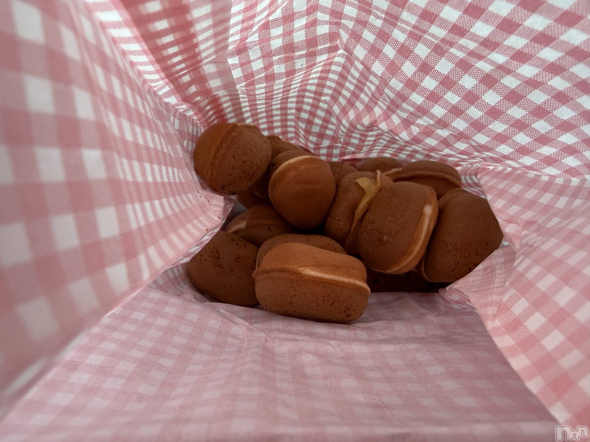 ��Į����Х��顦����֥���� �ץ���� ����(����� �ץ���� ������) ��2026ǯ1��15���̥�֥����֡���