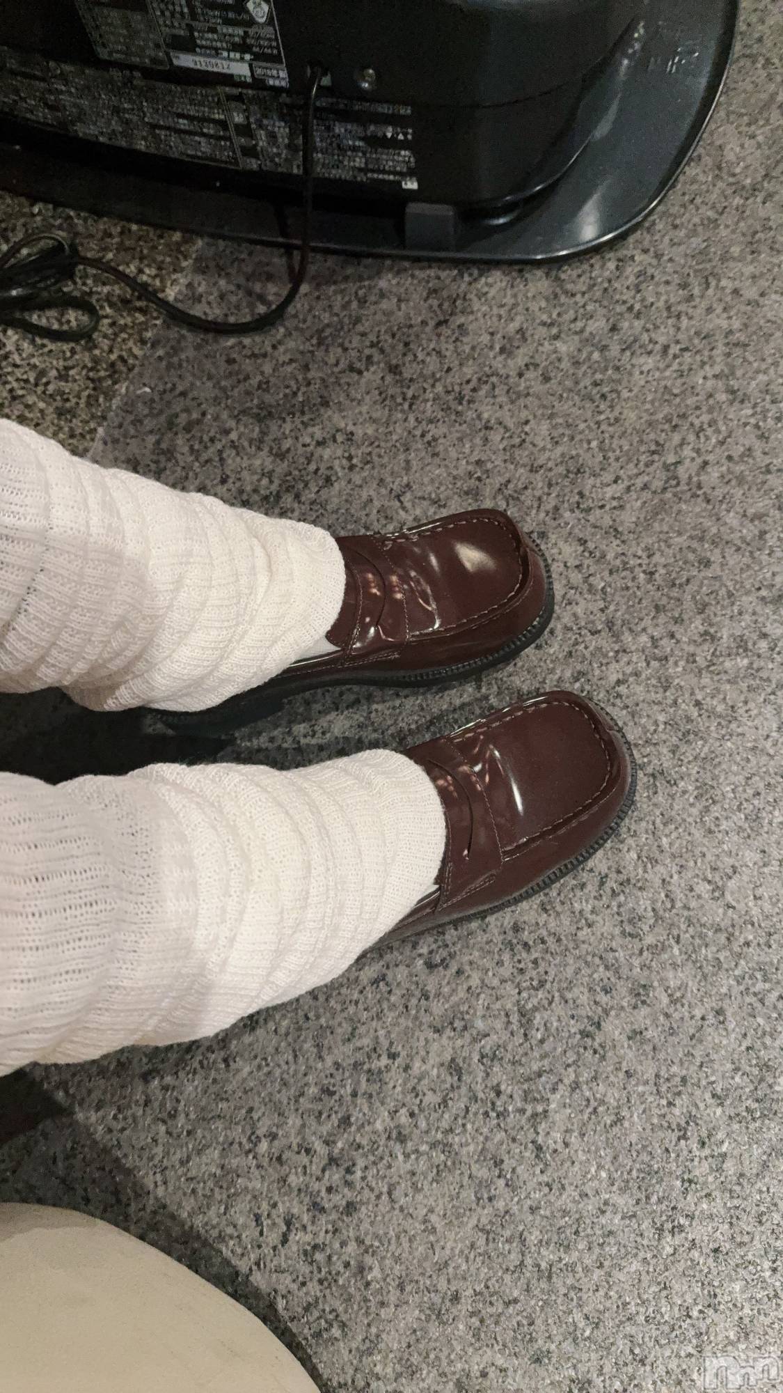 ��Į����Х��顦����֥���� �ץ���� ����(����� �ץ���� ������) ��2026ǯ1��24���̥�֥����֡���