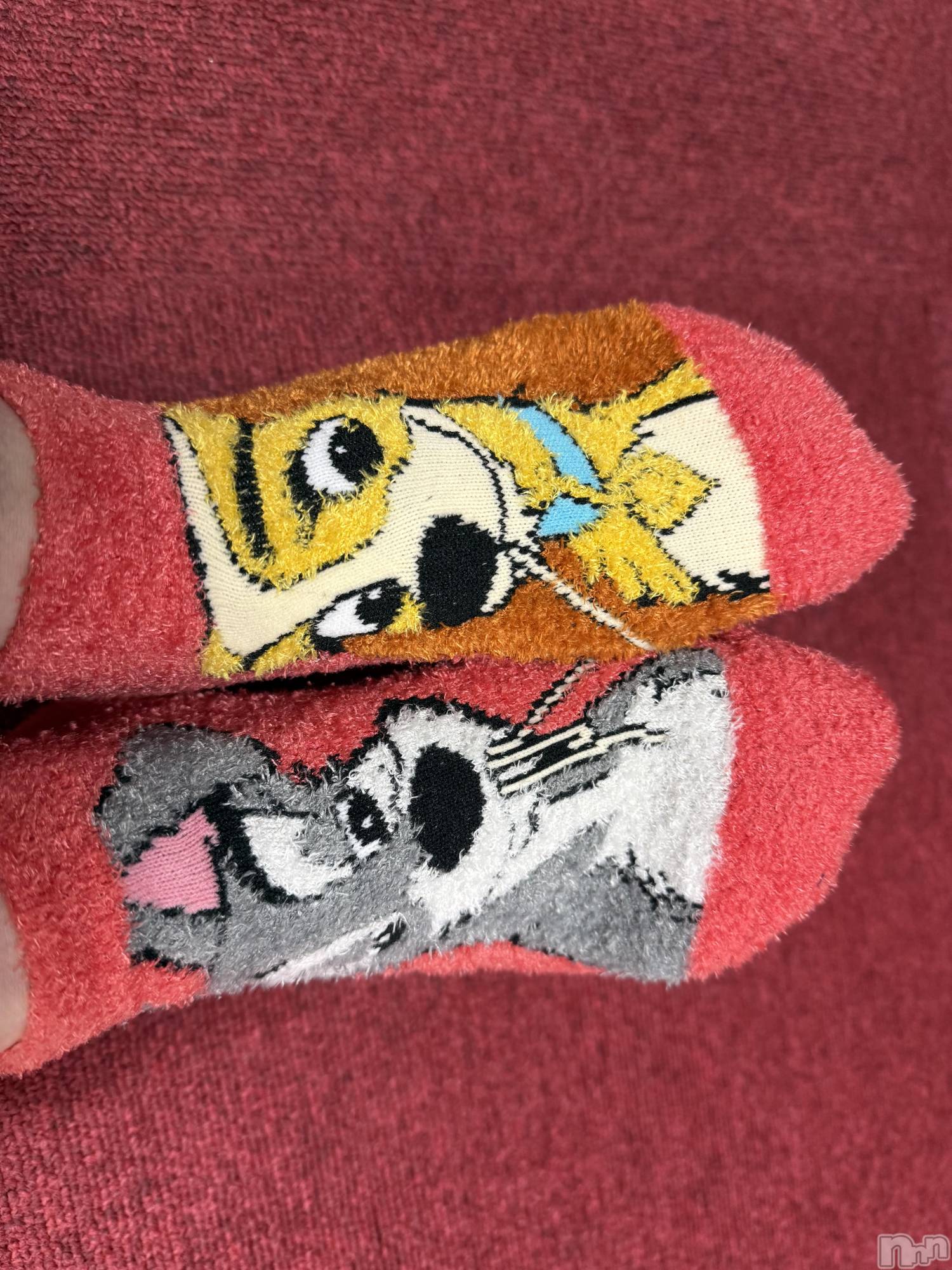 ��Į����Х��顦����֥���� �ץ���� ����(����� �ץ���� ������) ��2026ǯ1��29���̥�֥����֡���