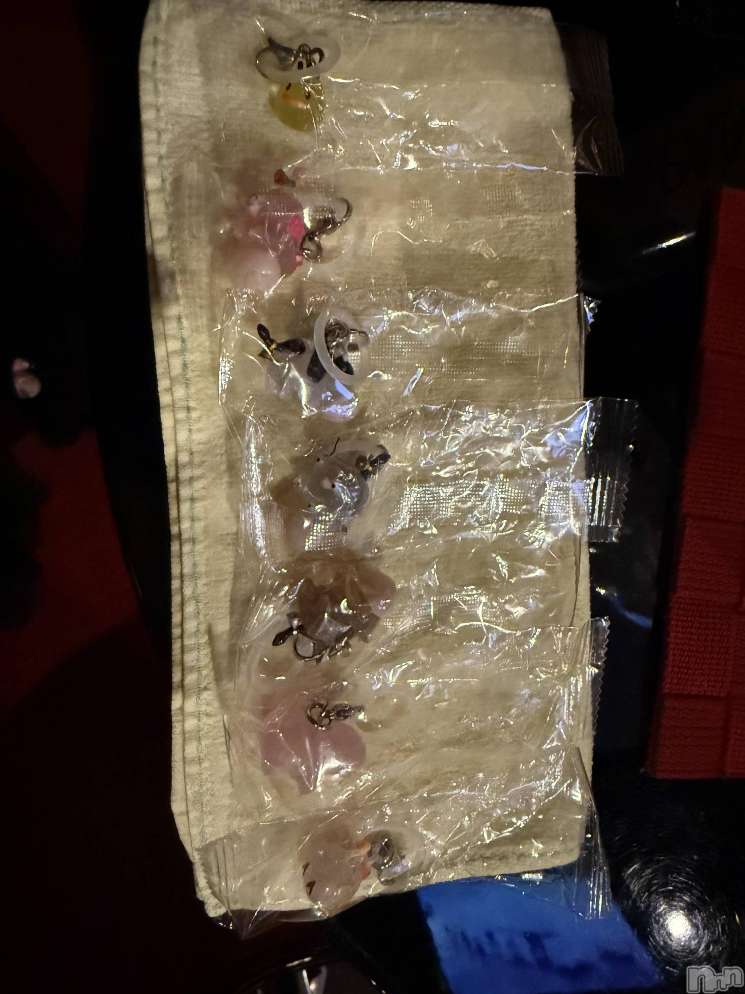 ��Į����Х��顦����֥���� �ץ���� ����(����� �ץ���� ������) ��2026ǯ2��2���̥�֥����֡���