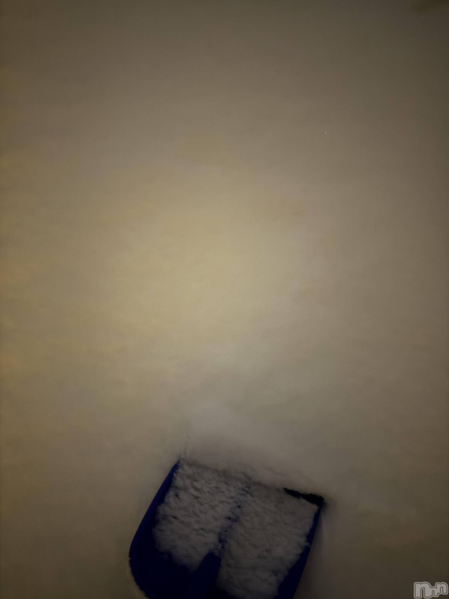 ��Į����Х��顦����֥���� �ץ���� ����(����� �ץ���� ������) ��2026ǯ2��8���̥�֥����֡���