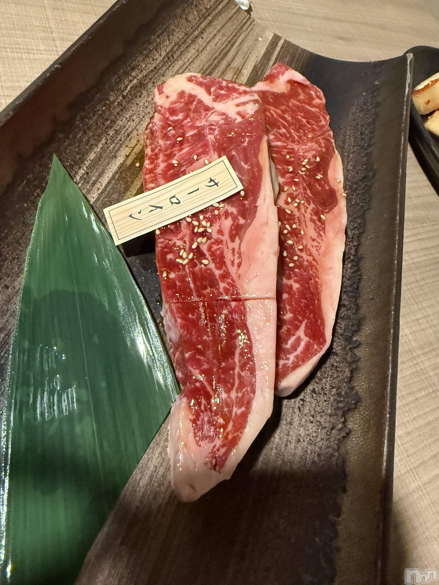 ��Į����Х��顦����֥���� �ץ���� ����(����� �ץ���� ������) ��2026ǯ2��8���̥�֥����֡���