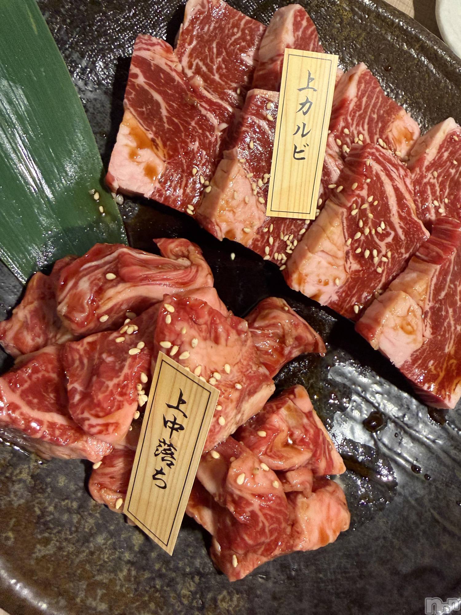 ��Į����Х��顦����֥���� �ץ���� ����(����� �ץ���� ������) ��2026ǯ2��9���̥�֥����֡���