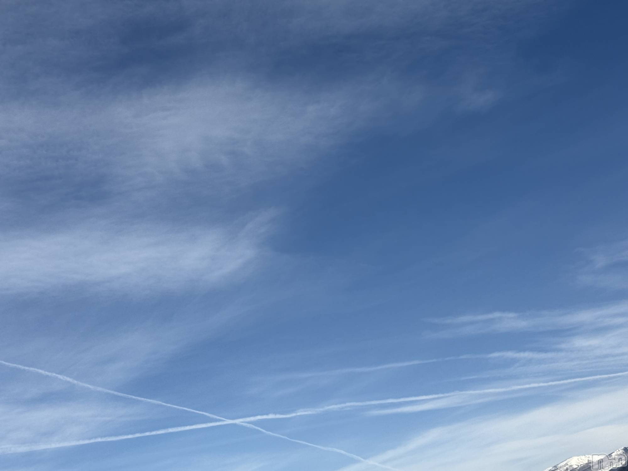 ��Į����Х��顦����֥���� �ץ���� ����(����� �ץ���� ������) ��2026ǯ2��10���̥�֥����֡���