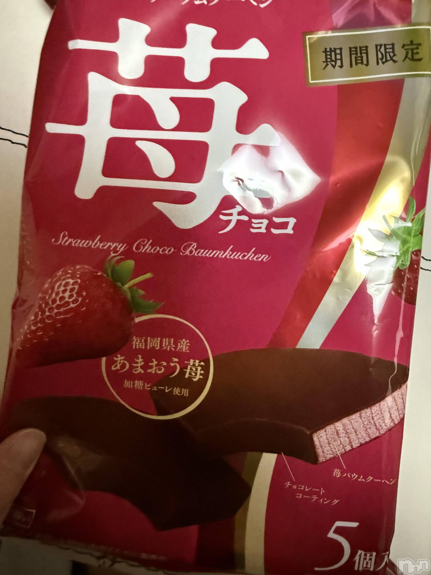 ��Į����Х��顦����֥���� �ץ���� ����(����� �ץ���� ������) ��2026ǯ2��11���̥�֥����֡���