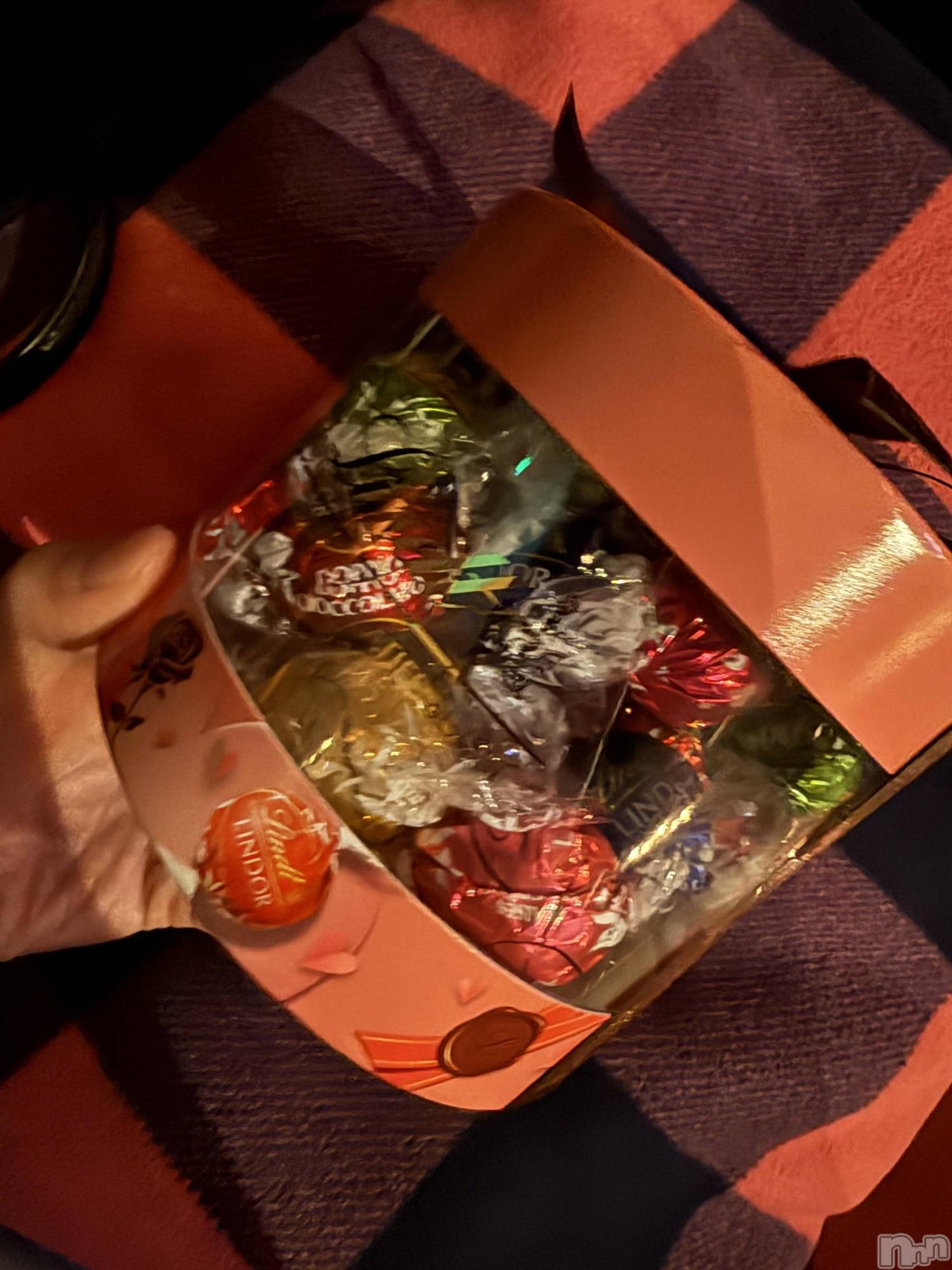 ��Į����Х��顦����֥���� �ץ���� ����(����� �ץ���� ������) ��2026ǯ2��13���̥�֥����֡���