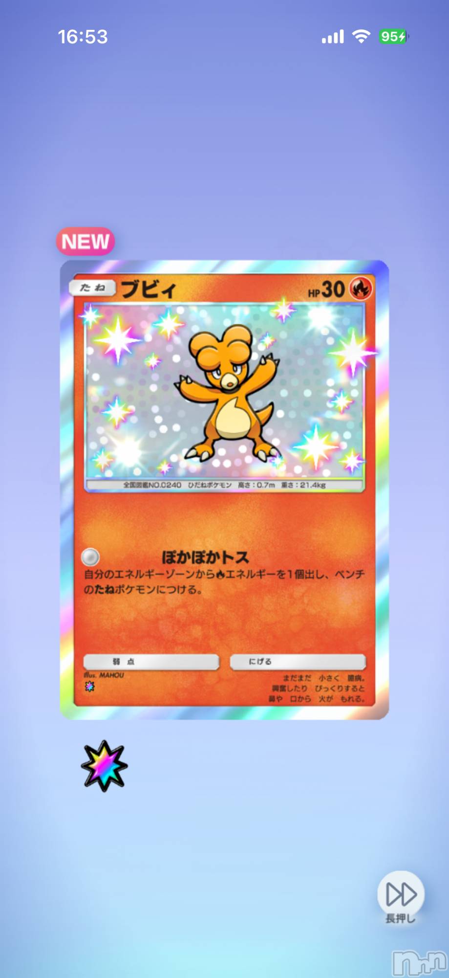 ��Į����Х��顦����֥���� �ץ���� ����(����� �ץ���� ������) ��2026ǯ2��14���̥�֥����֡���