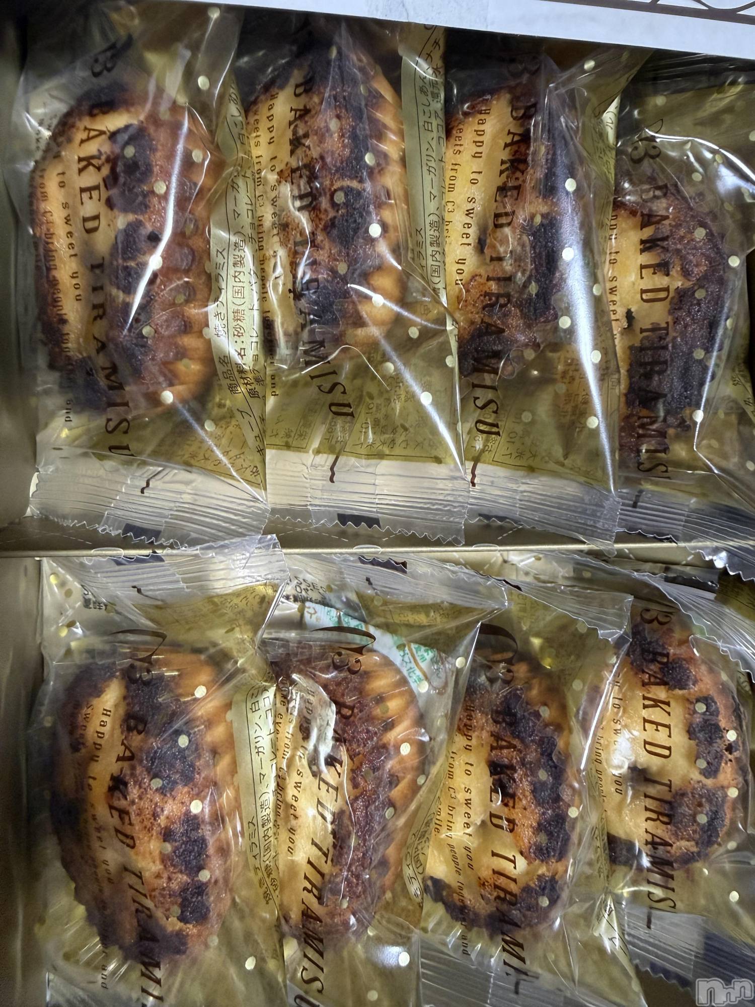 ��Į����Х��顦����֥���� �ץ���� ����(����� �ץ���� ������) ��2026ǯ2��15���̥�֥����֡���