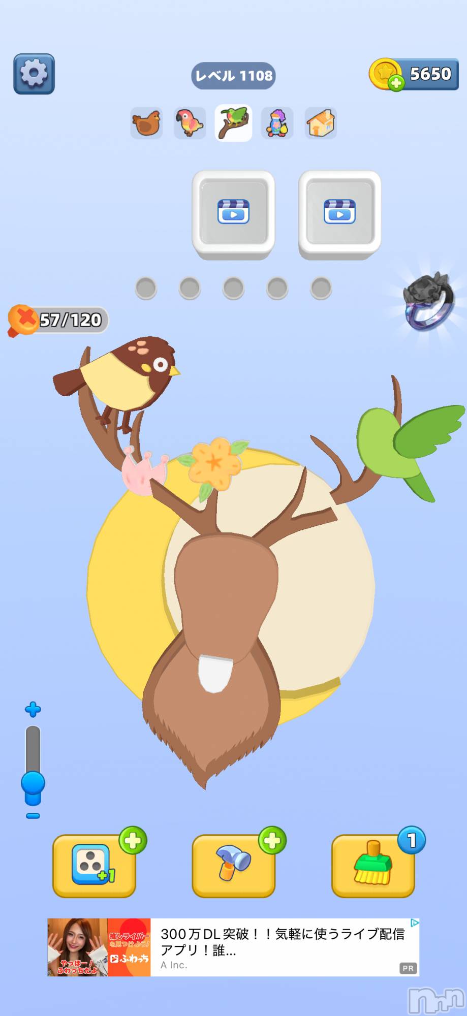 ��Į����Х��顦����֥���� �ץ���� ����(����� �ץ���� ������) ��2026ǯ2��16���̥�֥����֡���