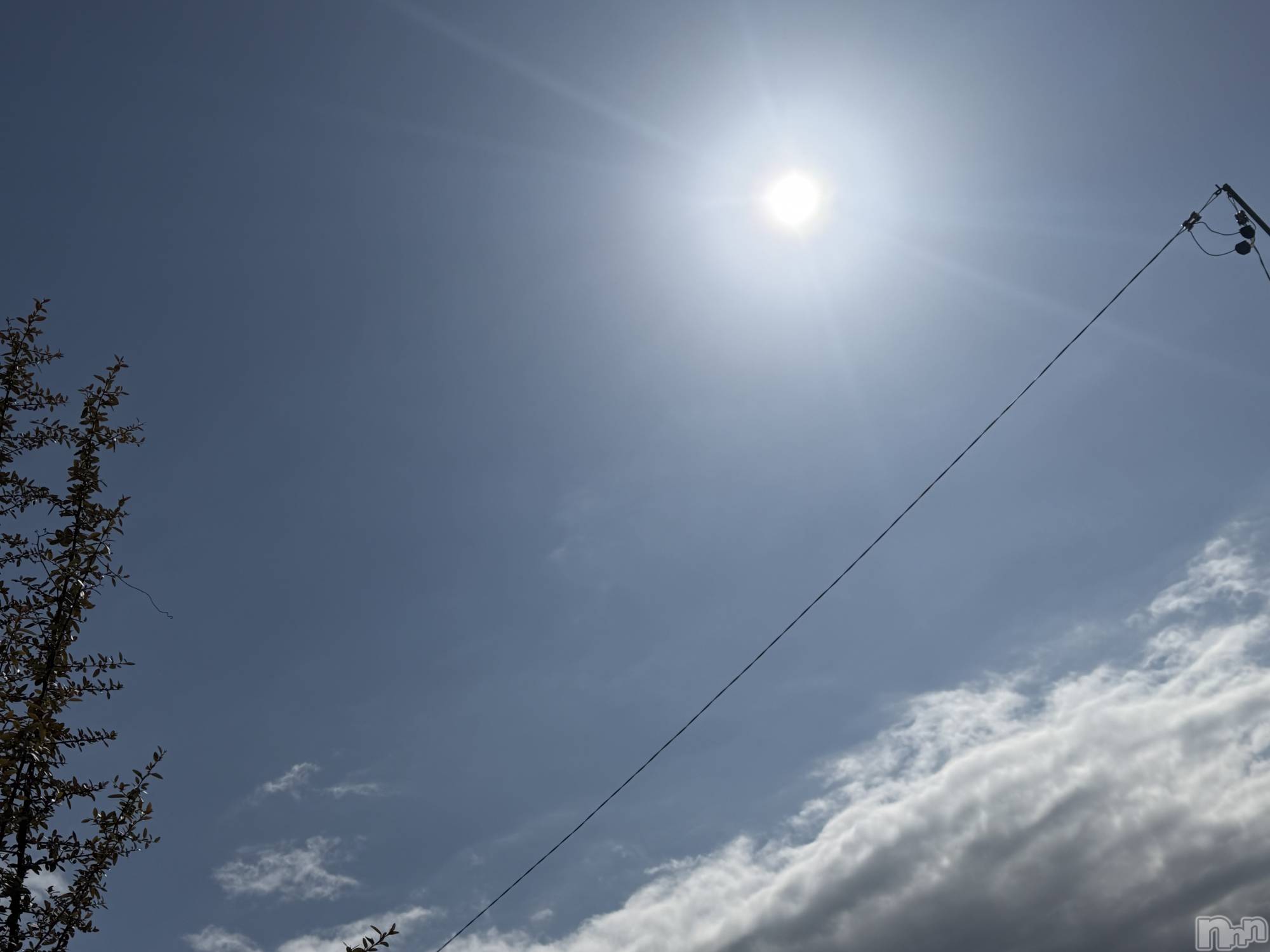 ��Į����Х��顦����֥���� �ץ���� ����(����� �ץ���� ������) ��2026ǯ2��17���̥�֥����֡���