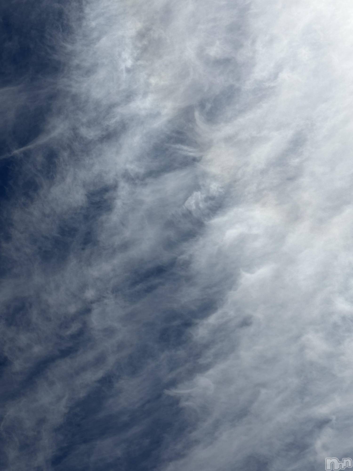 ��Į����Х��顦����֥���� �ץ���� ����(����� �ץ���� ������) ��2026ǯ2��20���̥�֥����֡���